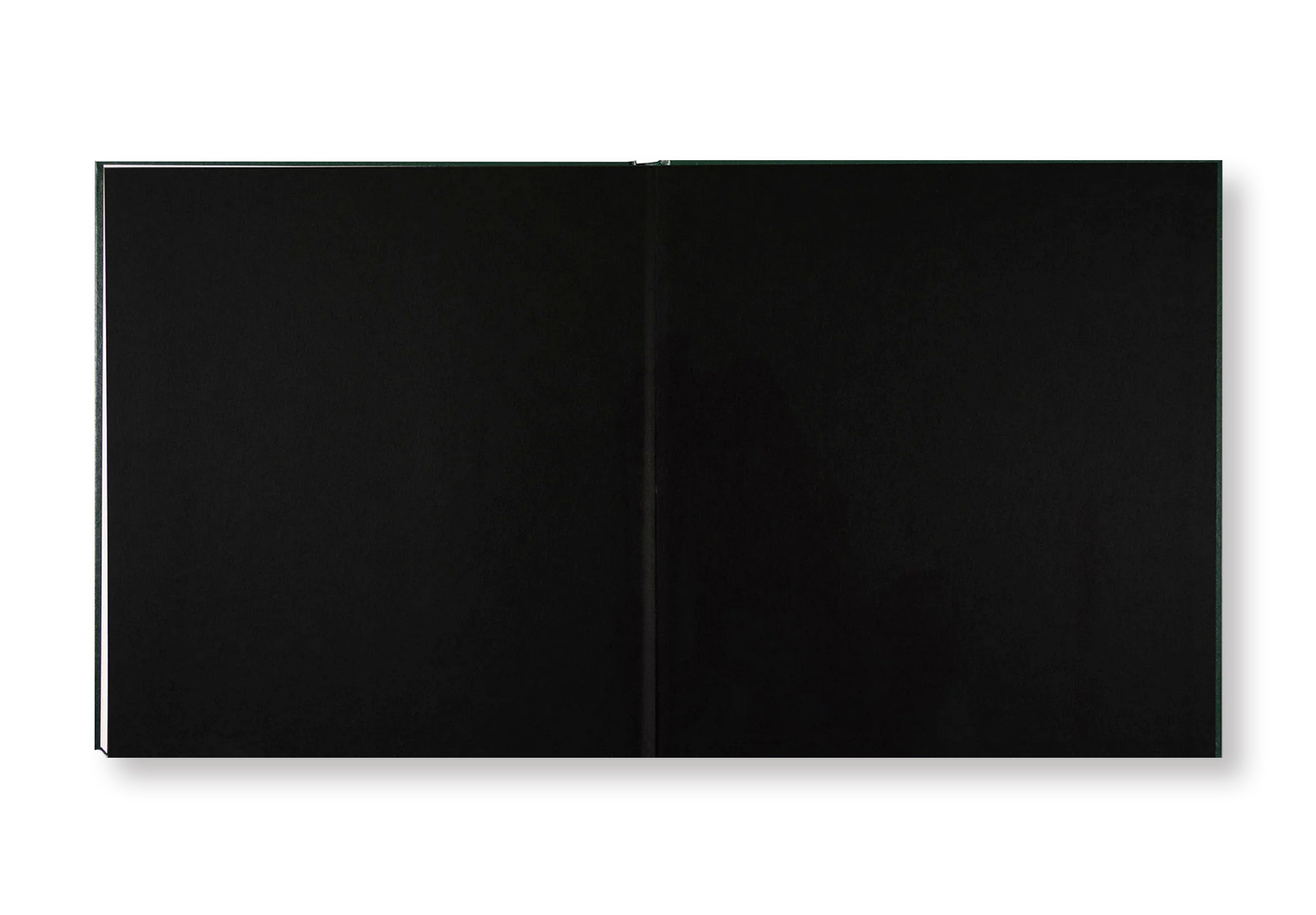 ON THE SIXTH DAY by Alessandra Sanguinetti – twelvebooks