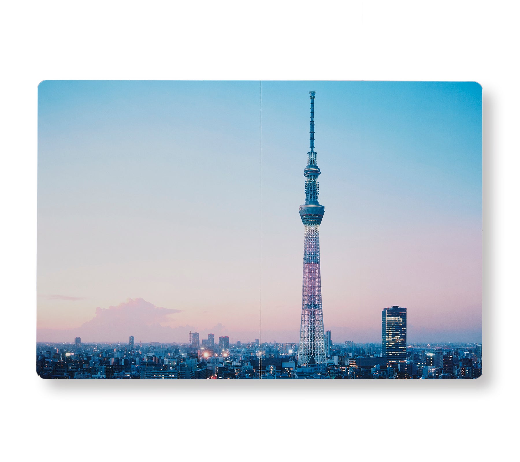 TOKYO OLYMPIA by Takashi Homma [SIGNED] – twelvebooks