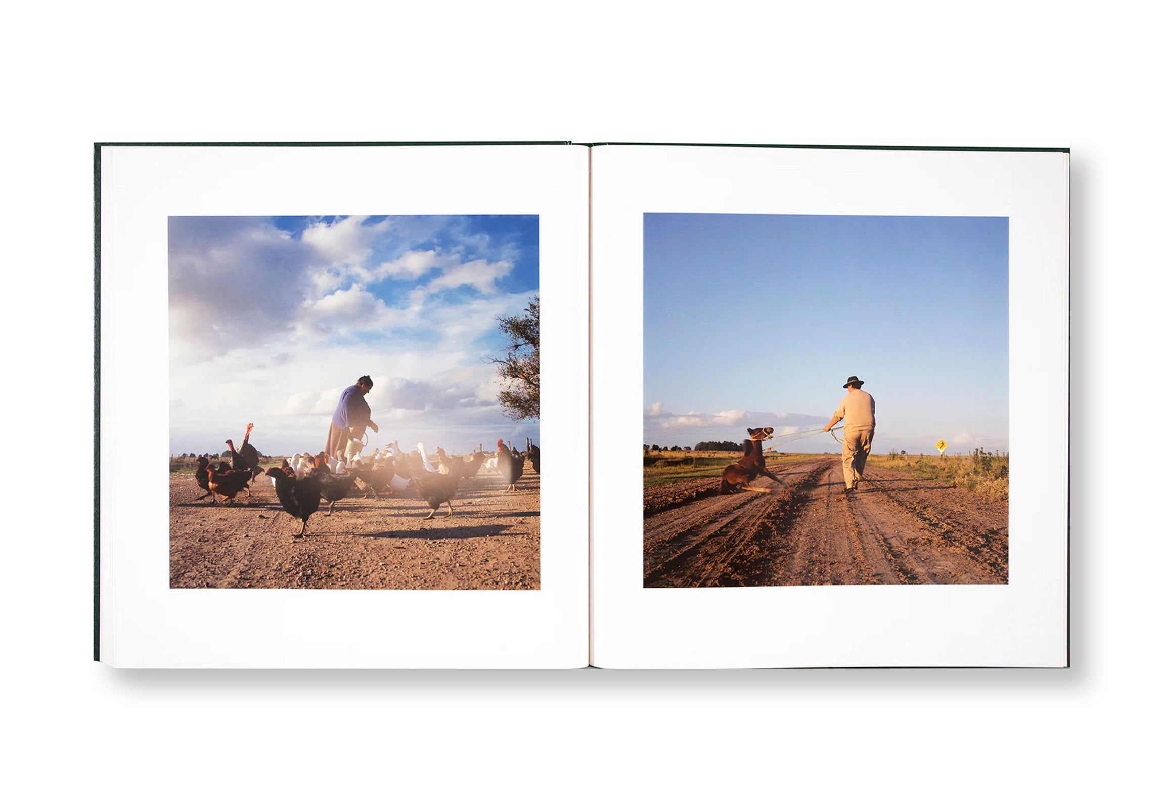 ON THE SIXTH DAY by Alessandra Sanguinetti – twelvebooks