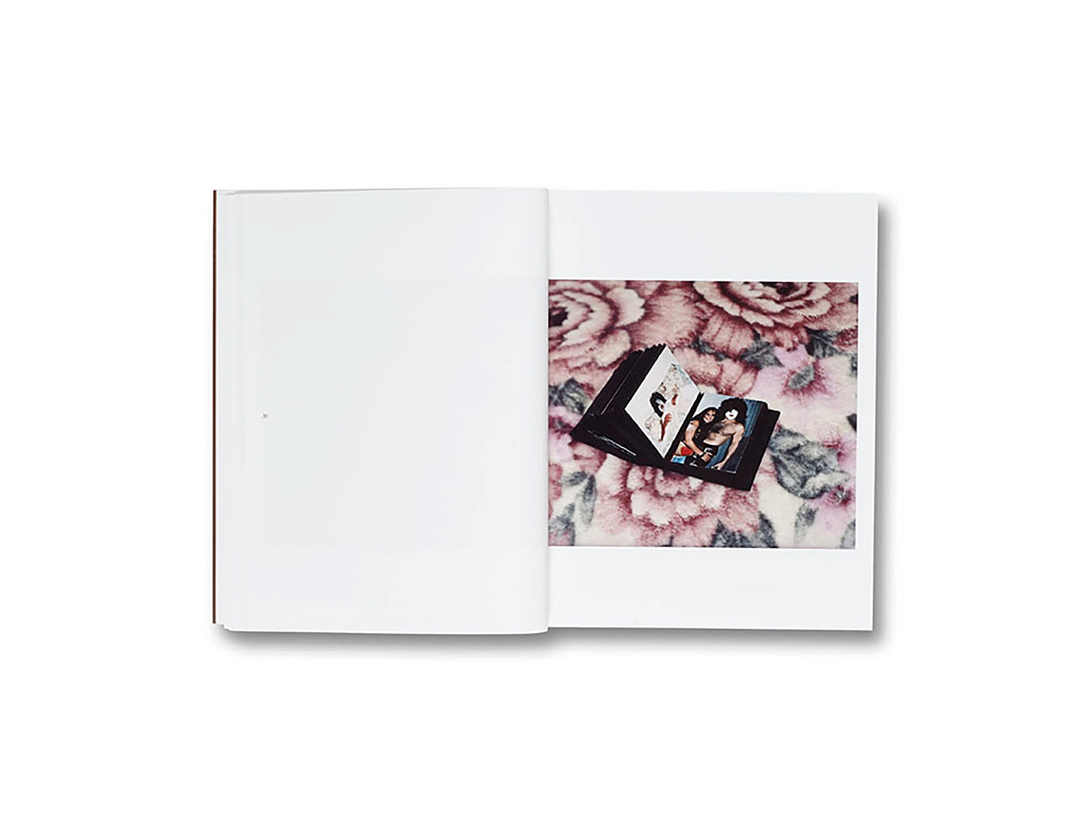 GATHERED LEAVES by Alec Soth – twelvebooks