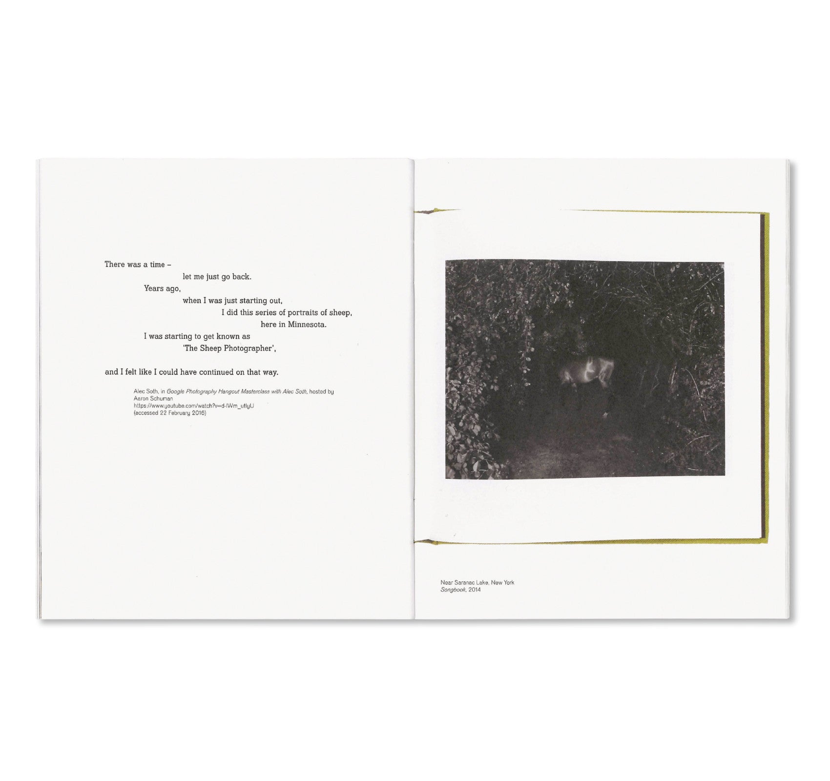 GATHERED LEAVES POSTCARDS by Alec Soth – twelvebooks