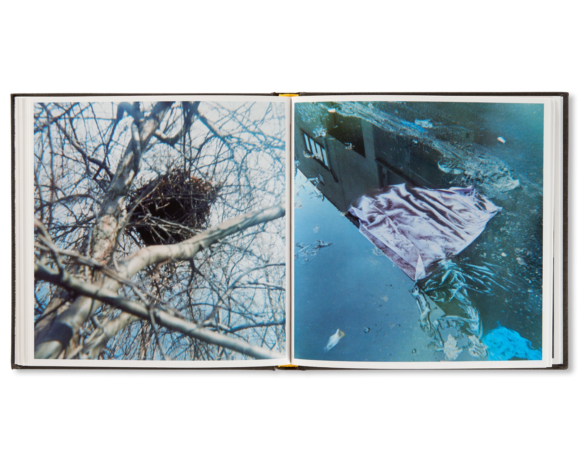 ARCHAEOLOGY IN REVERSE by Stephen Gill – twelvebooks