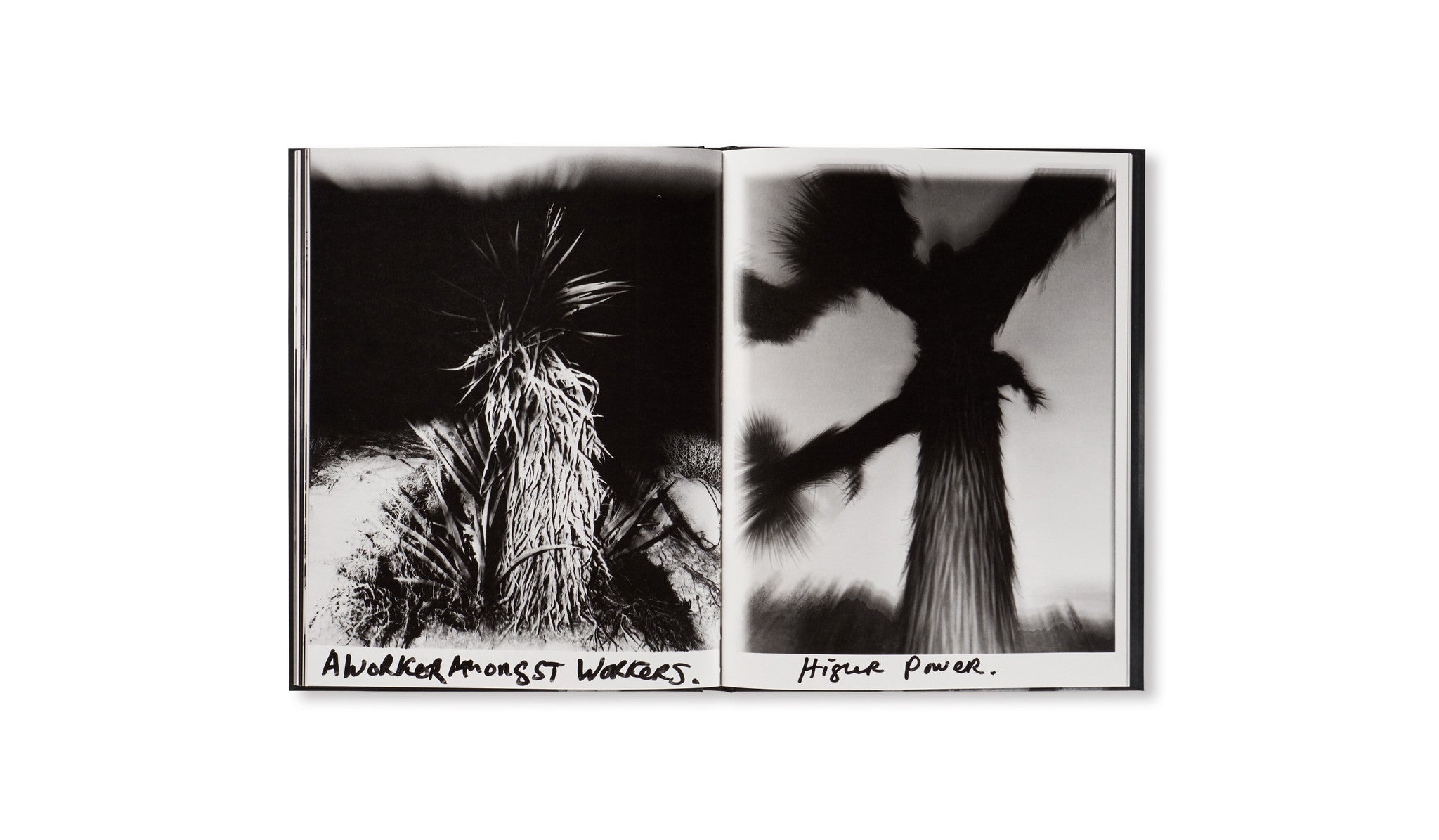 HORIZON ICONS by Chris Shaw [SIGNED] – twelvebooks