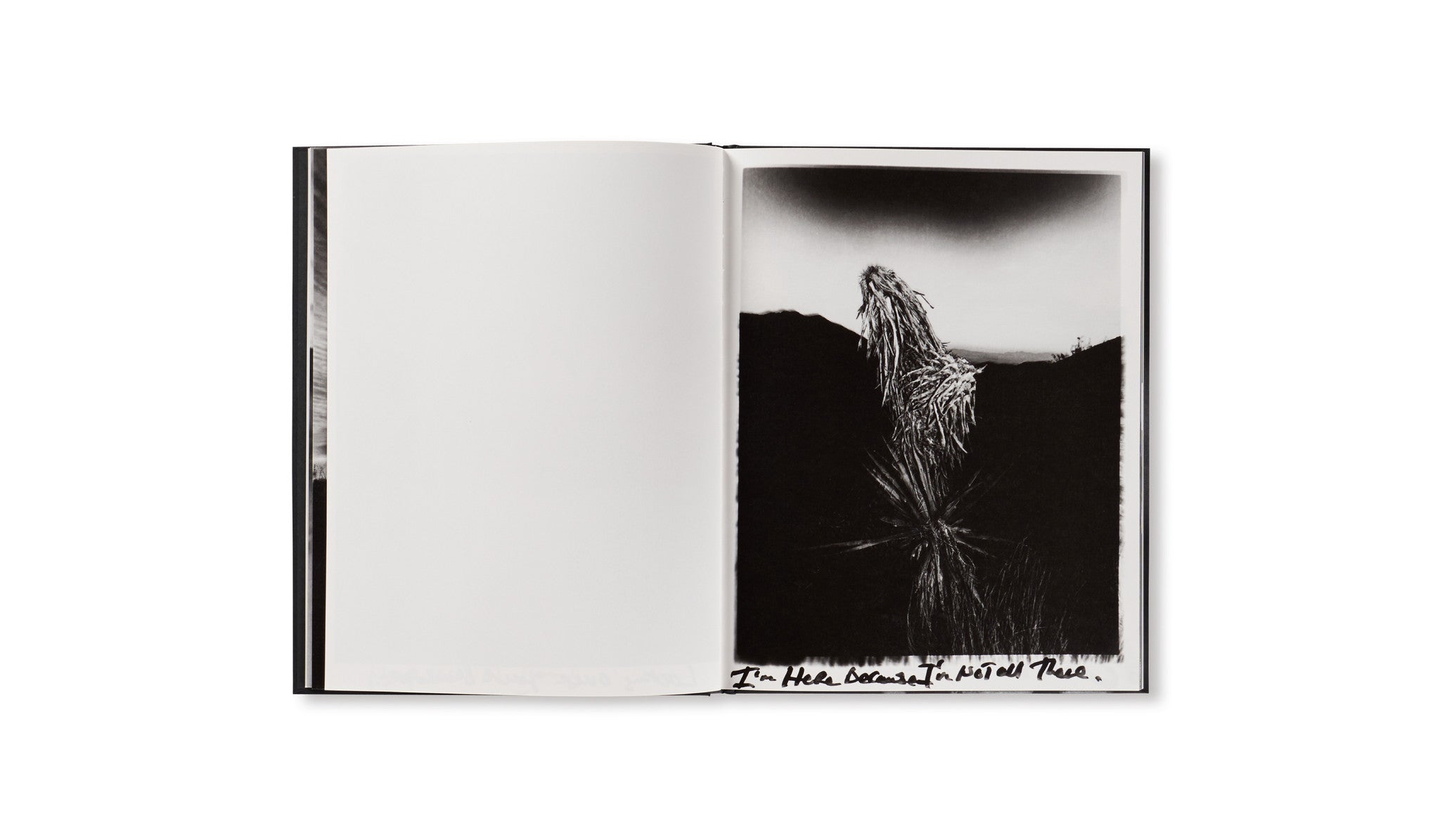 HORIZON ICONS by Chris Shaw [SIGNED] – twelvebooks