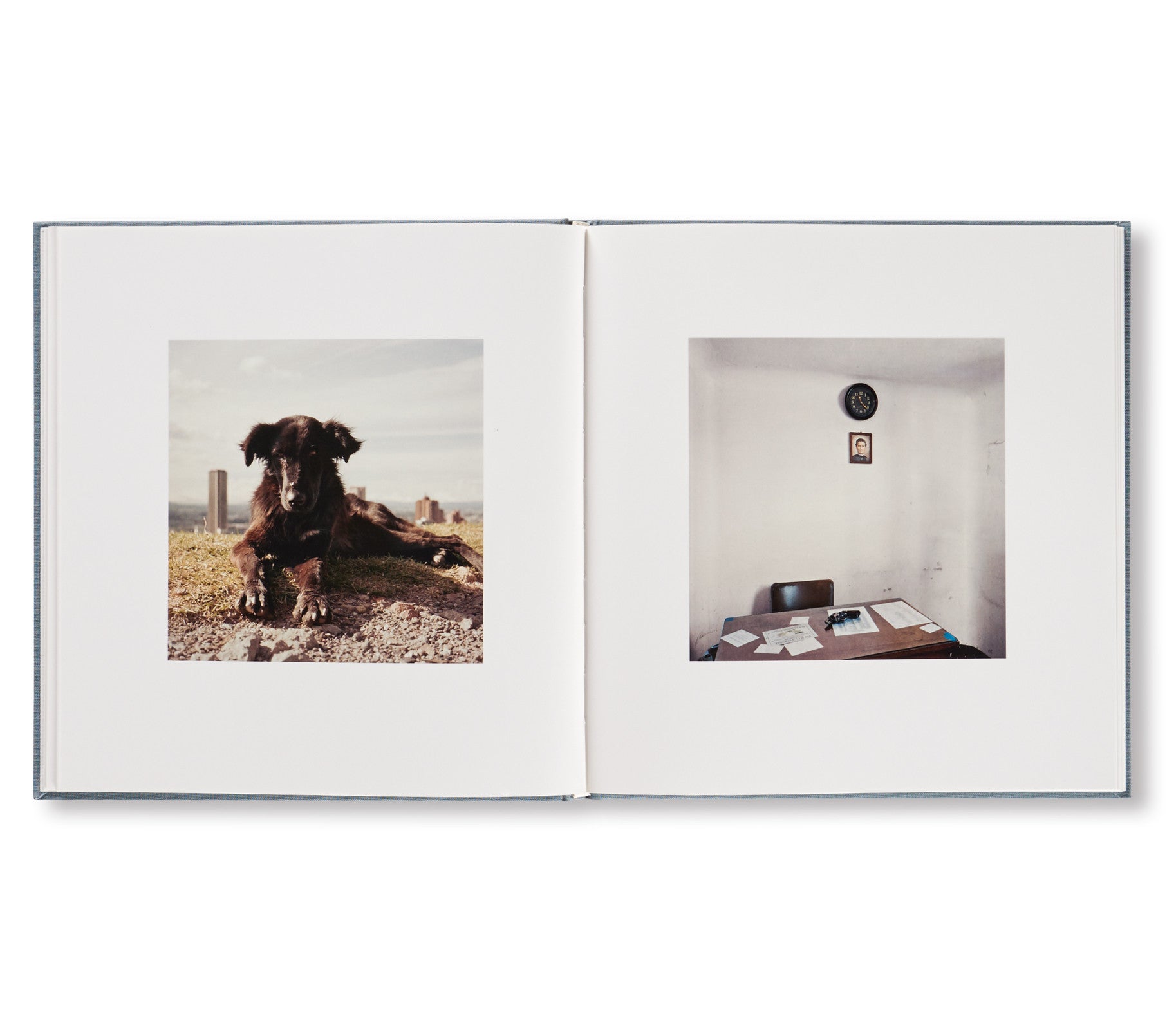 DOG DAYS BOGOTÁ by Alec Soth [SPECIAL EDITION] – twelvebooks