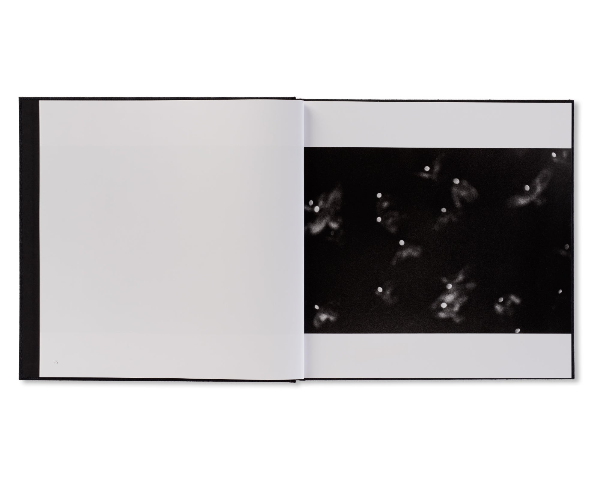 鴉 / RAVENS by Masahisa Fukase – twelvebooks