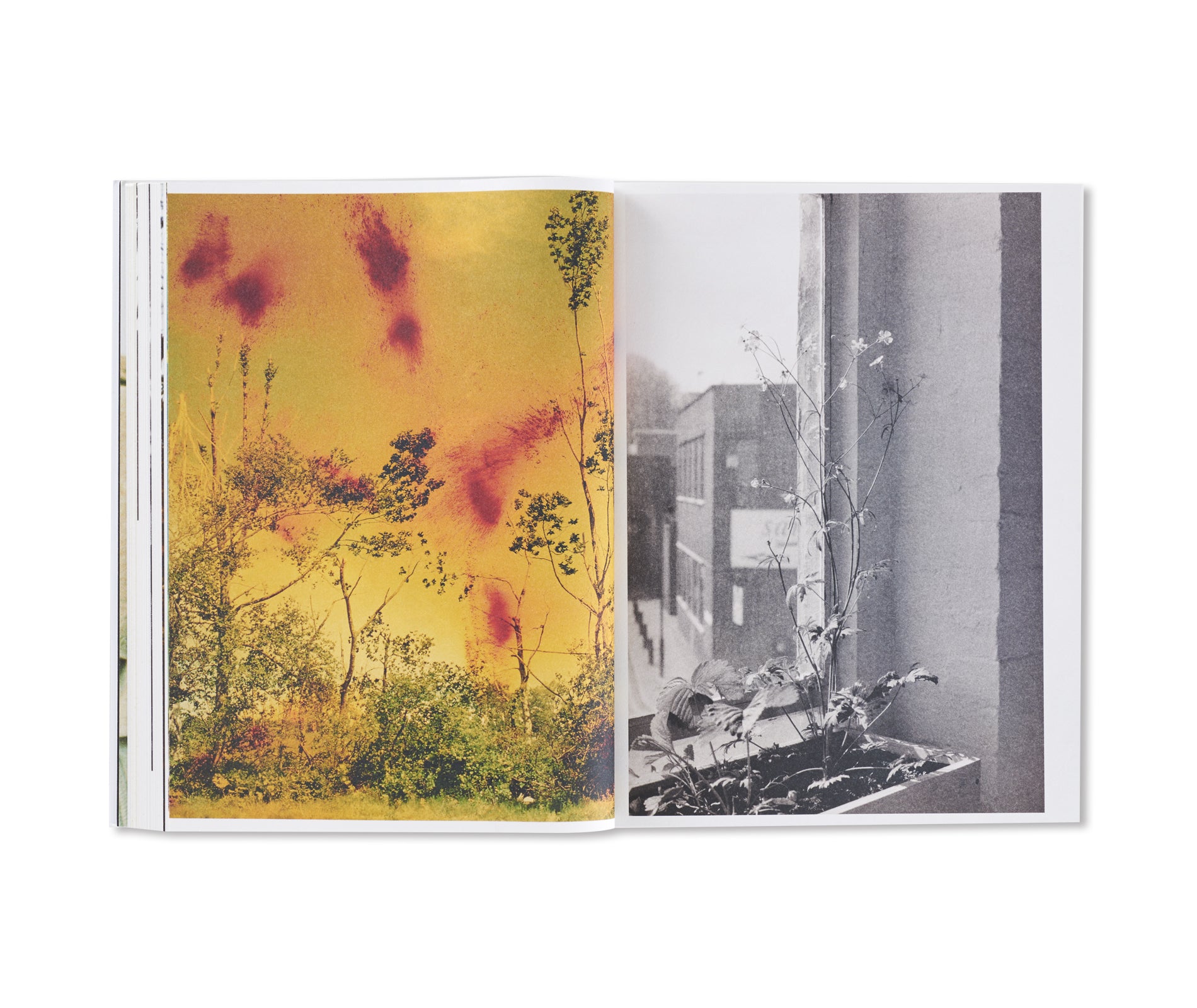 WOLFGANG TILLMANS by Wolfgang Tillmans – twelvebooks