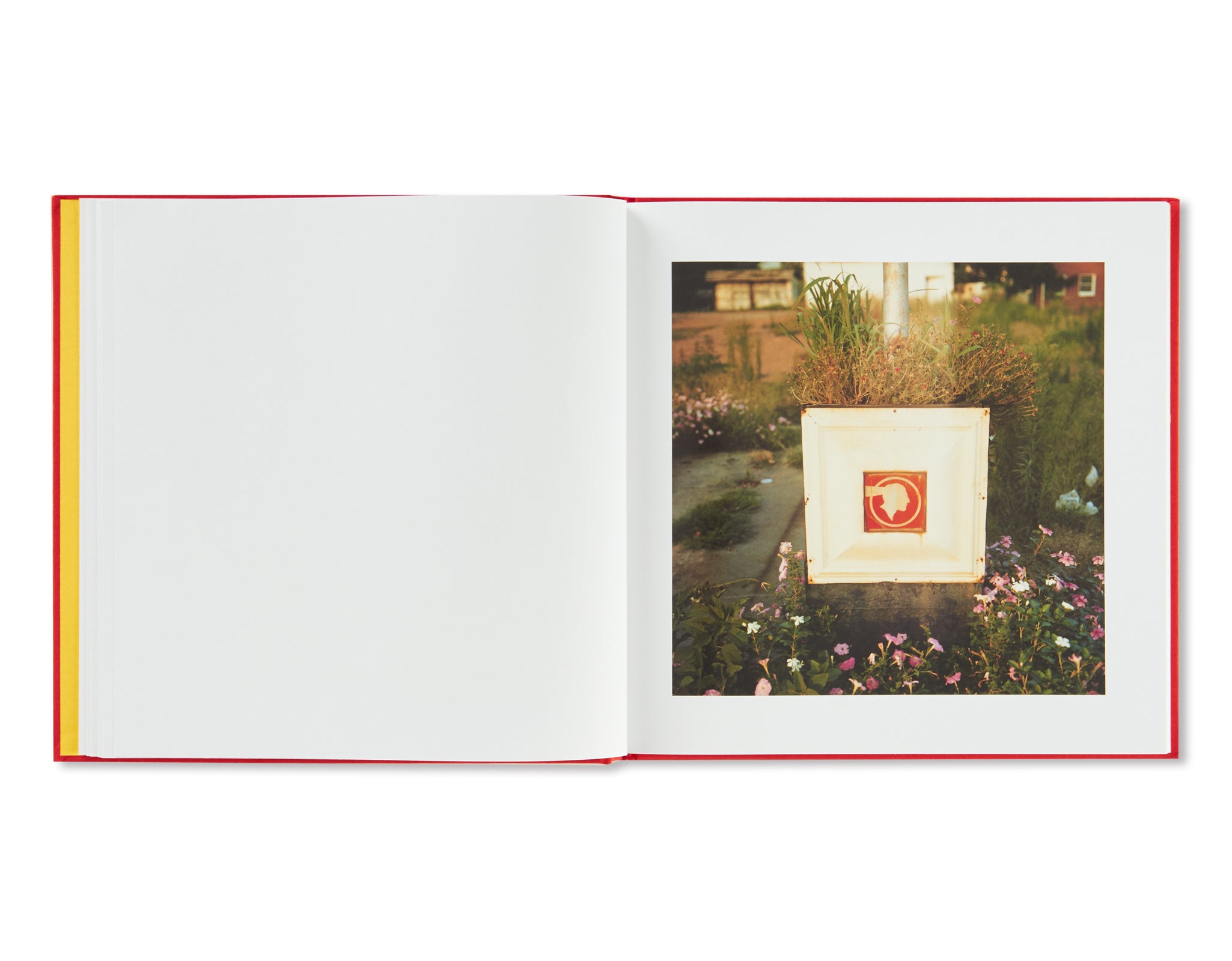 2 1/4 by William Eggleston – twelvebooks