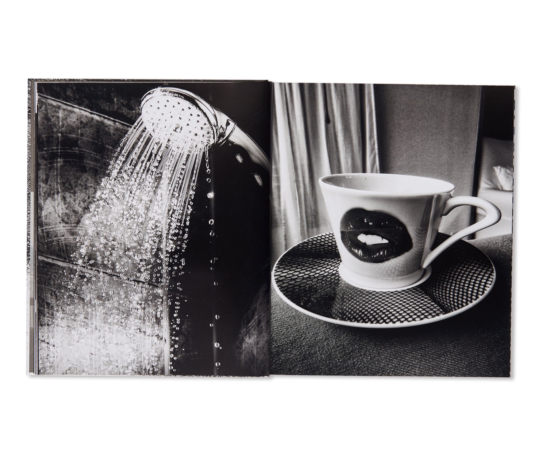 A DIARY - HASSELBLAD AWARD 2019 by Daido Moriyama – twelvebooks