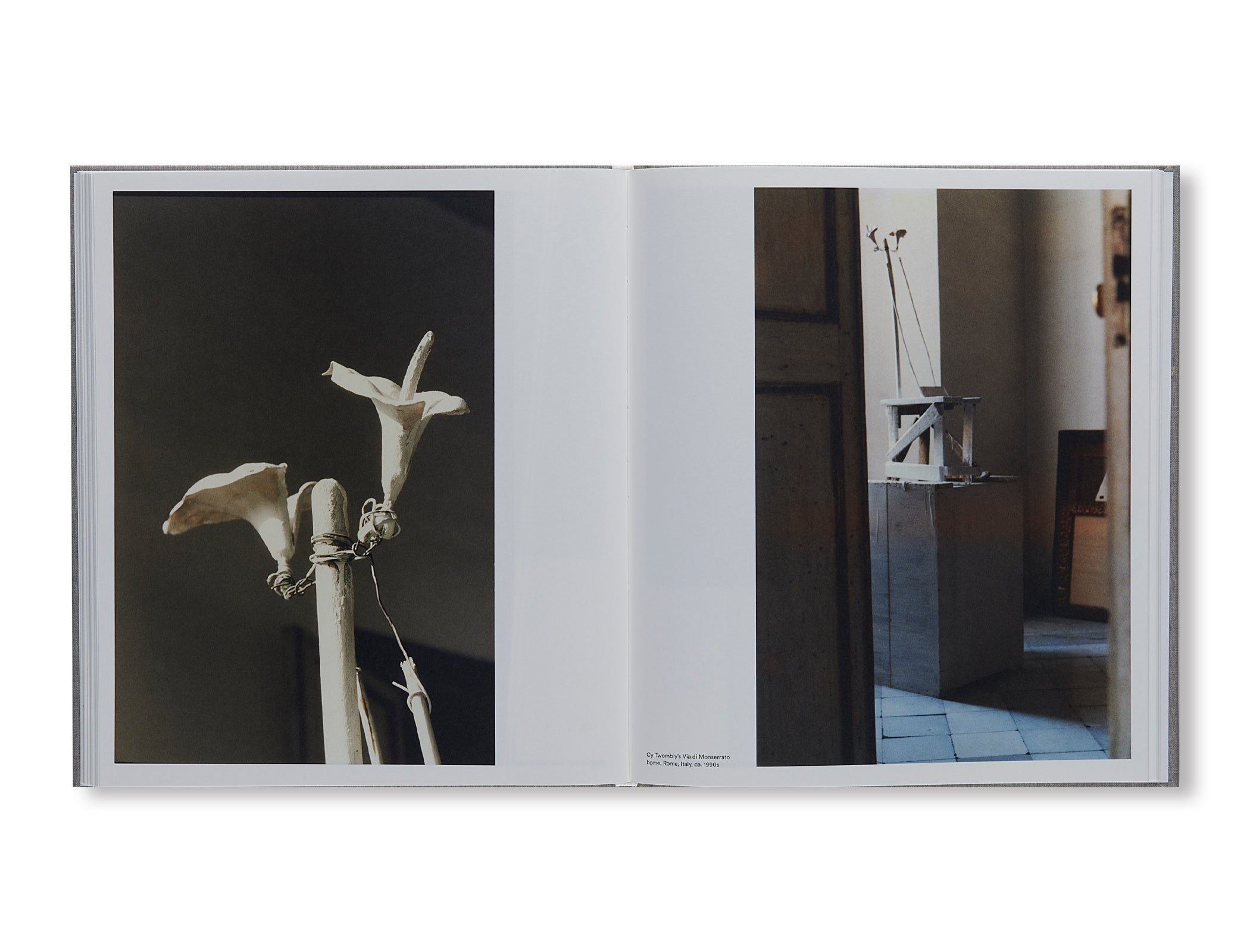 CY TWOMBLY by Cy Twombly (GLENSTONE MUSEUM) – twelvebooks