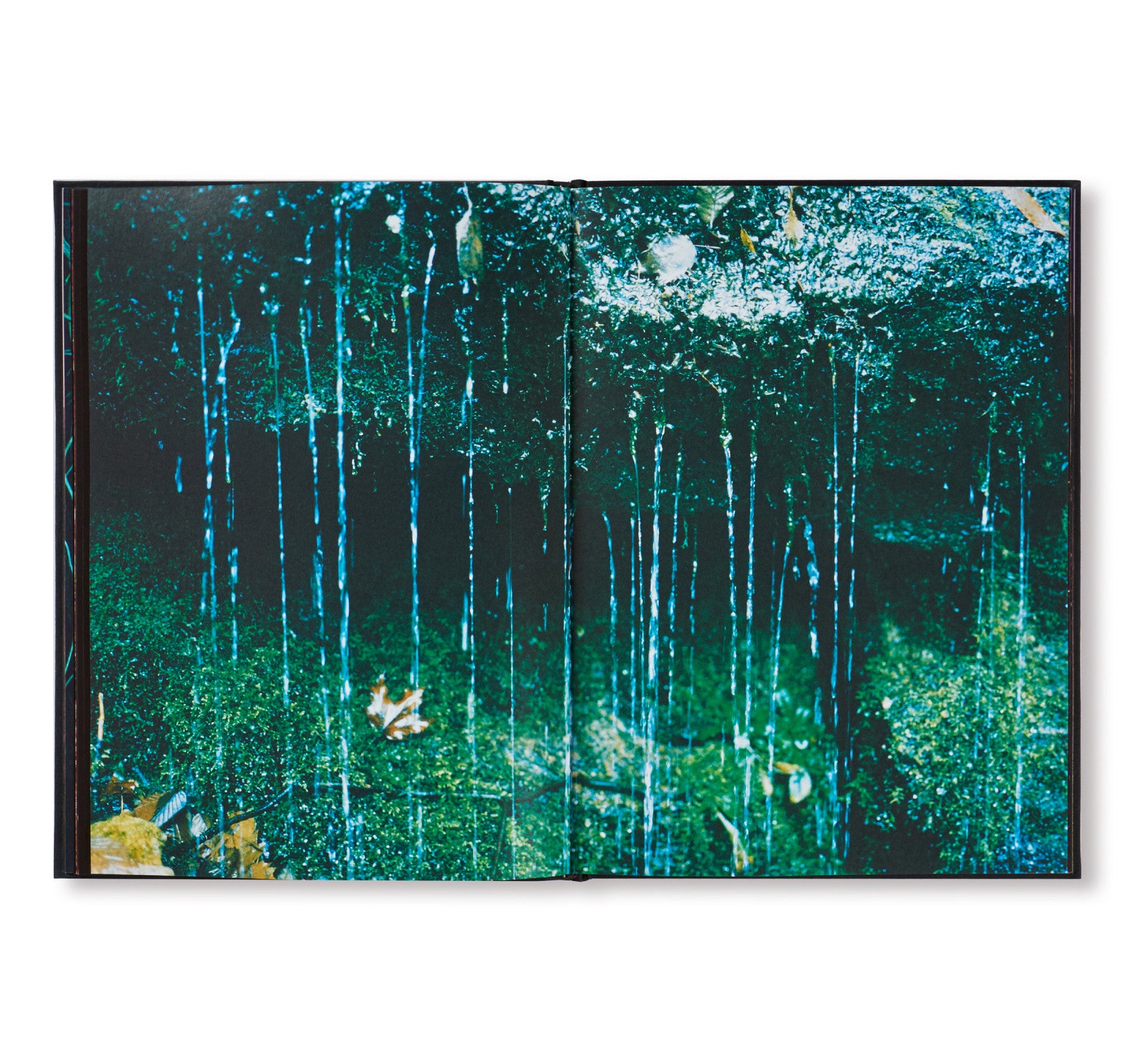 A RECURRING DREAM by Coley Brown [SECOND EDITION / SIGNED