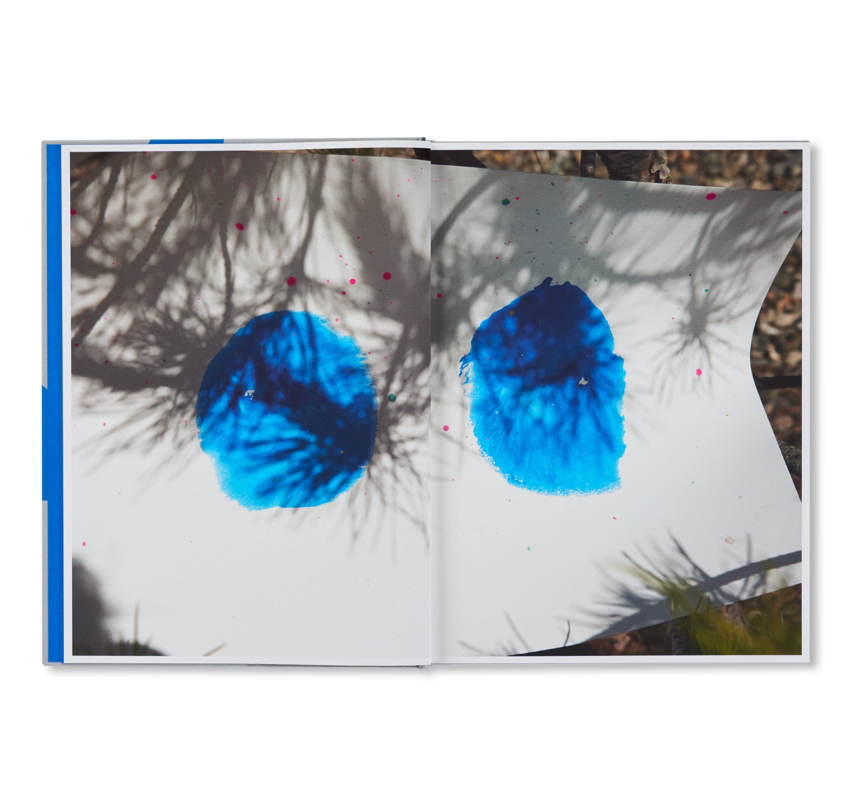 ROXANE II by Viviane Sassen [FIRST EDITION] – twelvebooks