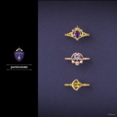 ノーブルベルカレッジ魔法石風リング【ANIPLEX+限定