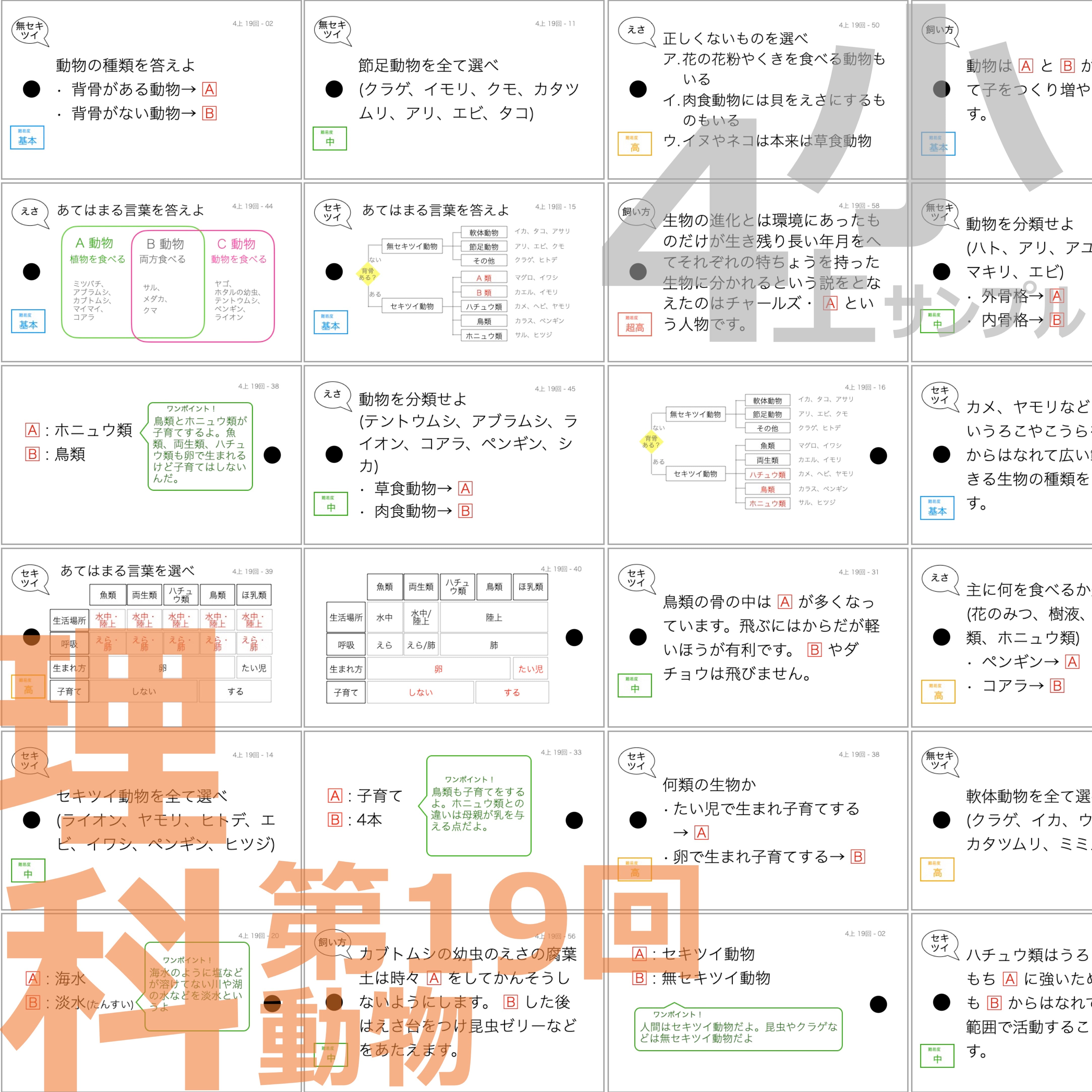 21_sample_04_B_RI_19_Dobutsu_v