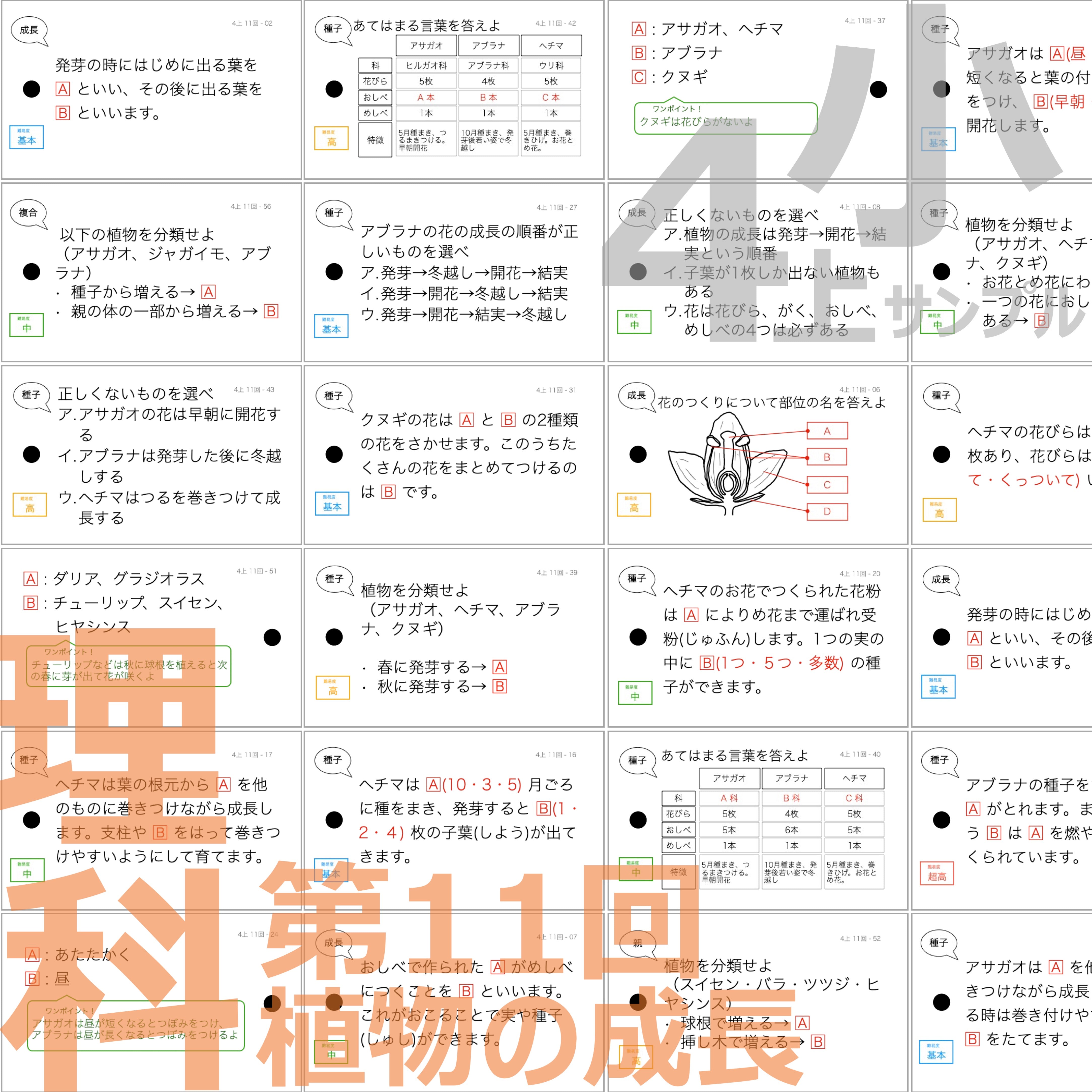 中学受験 暗記カード）4年上 理科 11-14回セット – TT1-Learning 中学