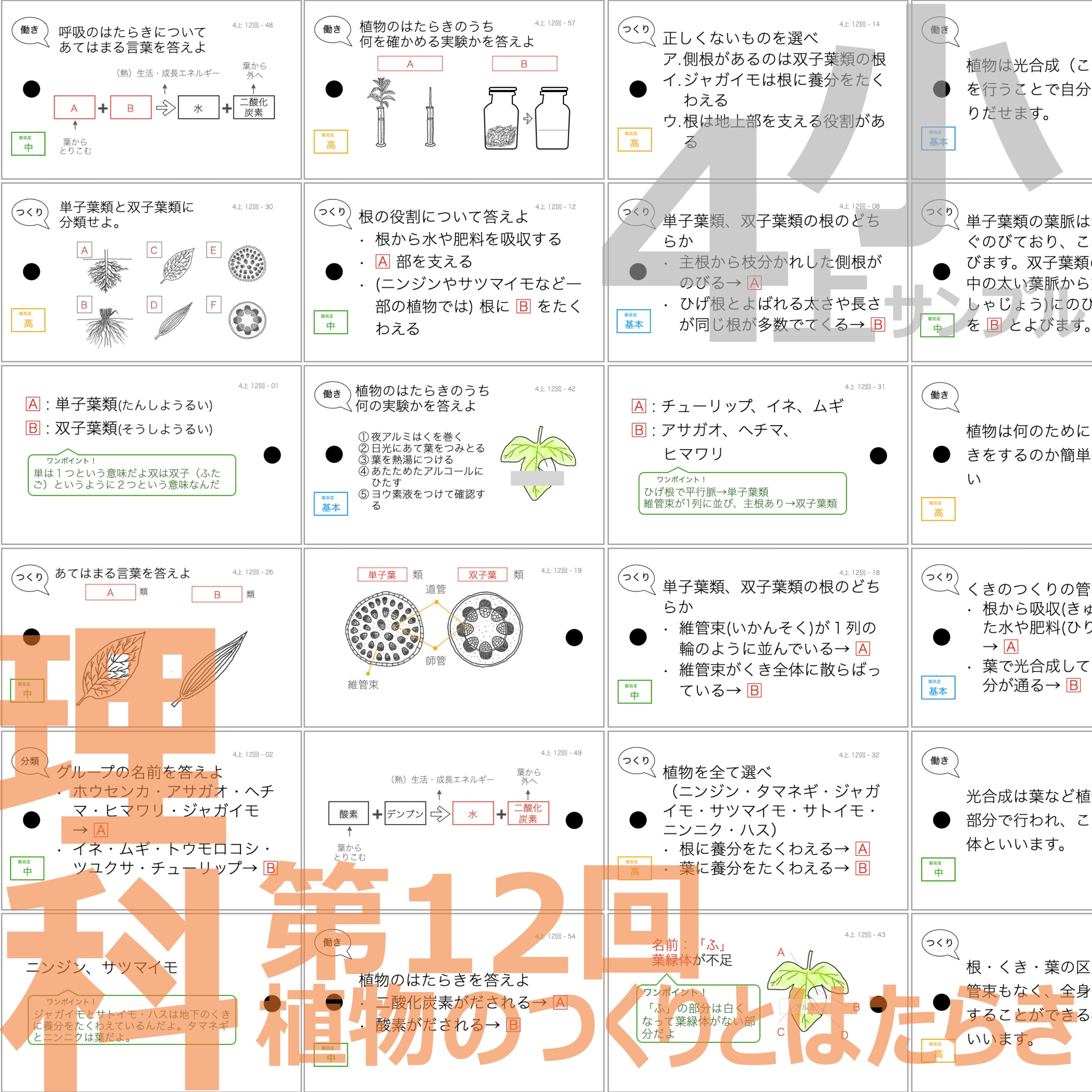 中学受験 暗記カード）4年上 理科 11-19回 (ハーフセット) – TT1