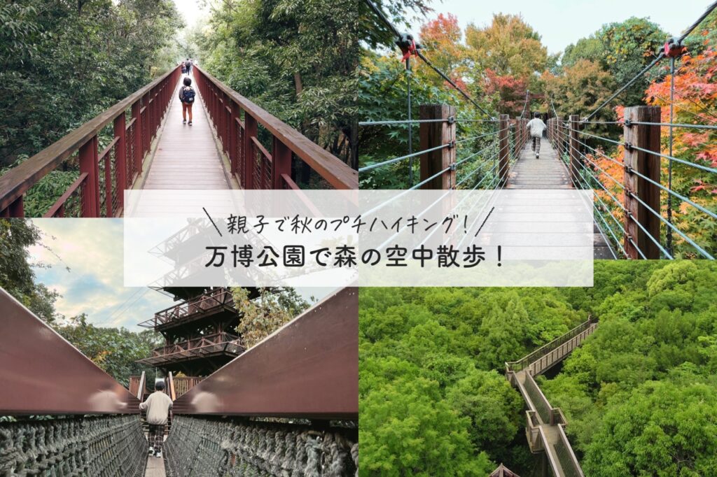 万博公園で森の空中散歩ができる「空中観察路ソラード」で子どもと気軽