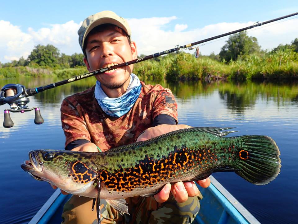 TULALA | Ford every stream | » El Horizonte 70