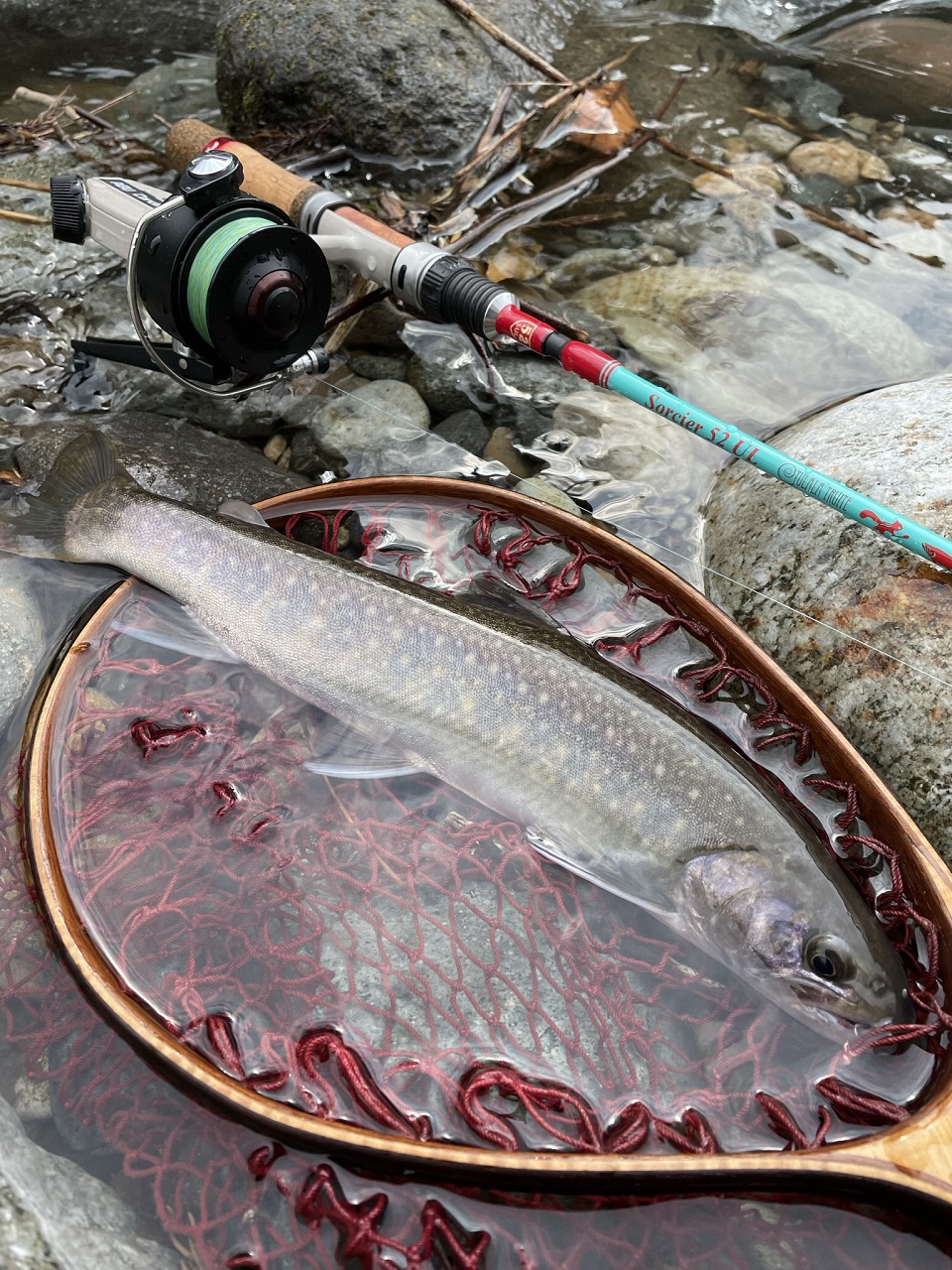 TULALA ツララ トリュテ ソルシエ 52UL TRUITE Sorcier ツララ(TULALA