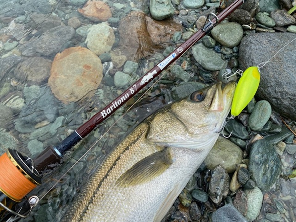 TULALA | Ford every stream | » 【STAFF】バリクラフト 山先氏監修