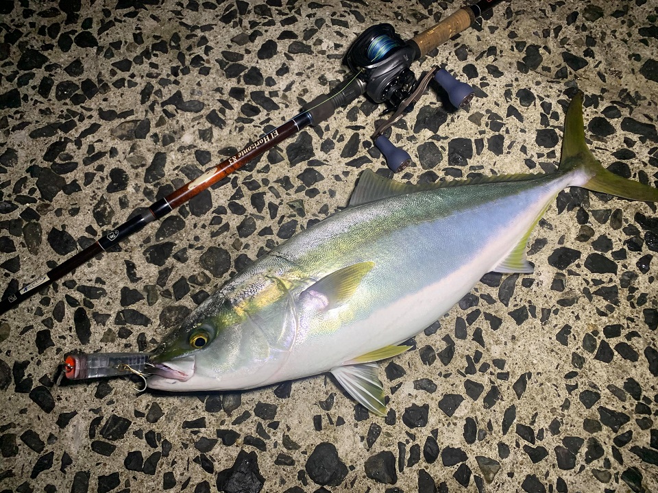 TULALA | Ford every stream | » El Horizonte 83