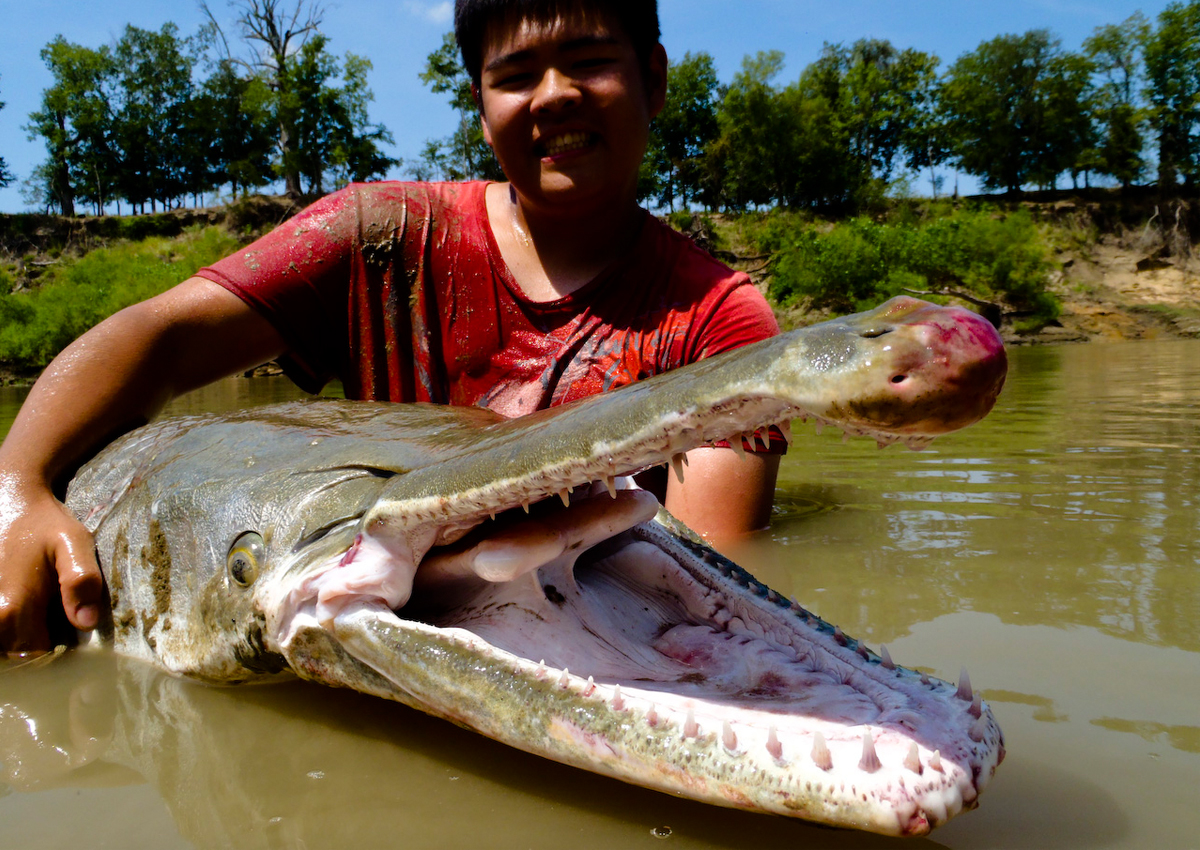 TULALA | Ford every stream | » El Horizonte 83