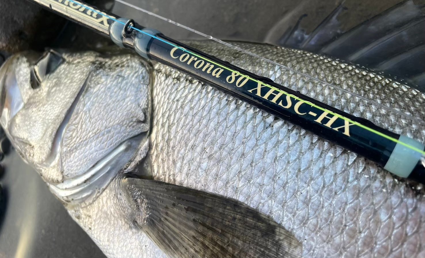 TULALA | Ford every stream | » Corona 80 XHSC-HX