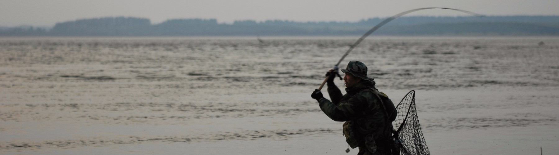 TULALA | Ford every stream | » El Horizonte 80