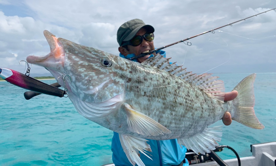 TKS‼️ツララ バリトーノ80 TULALA | Ford every stream | » 【新製品