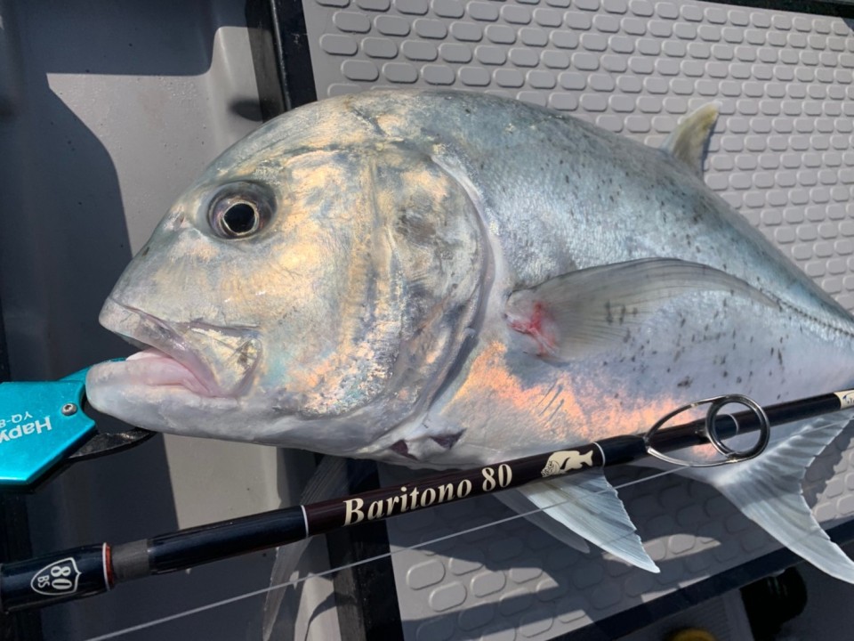 TULALA | Ford every stream | » Baritono 80