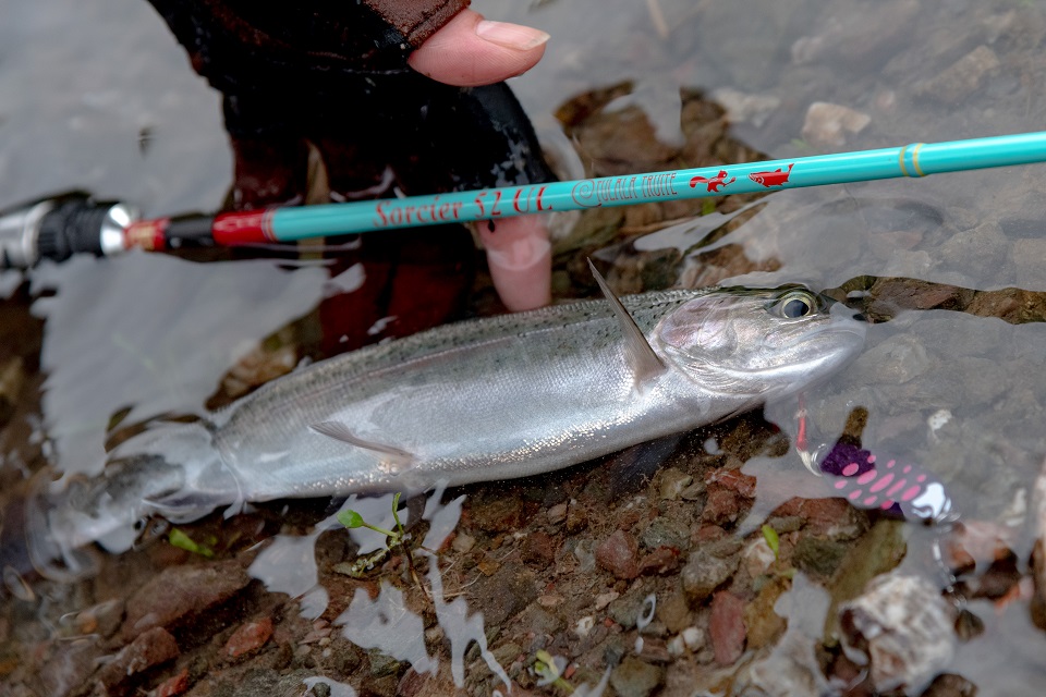 TULALA | Ford every stream | » Sorcier 52 UL