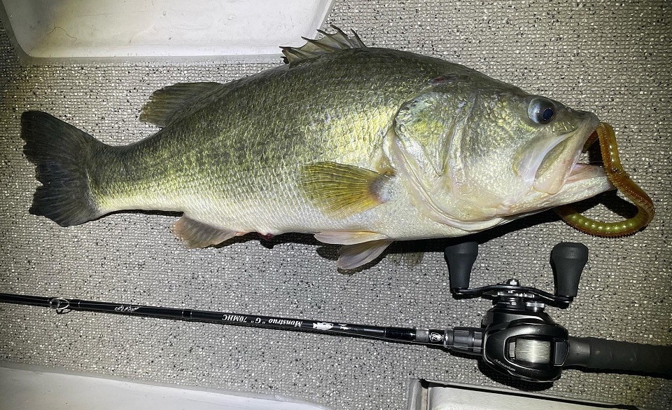 TULALA | Ford every stream | » Monstruo”G” 70MHC