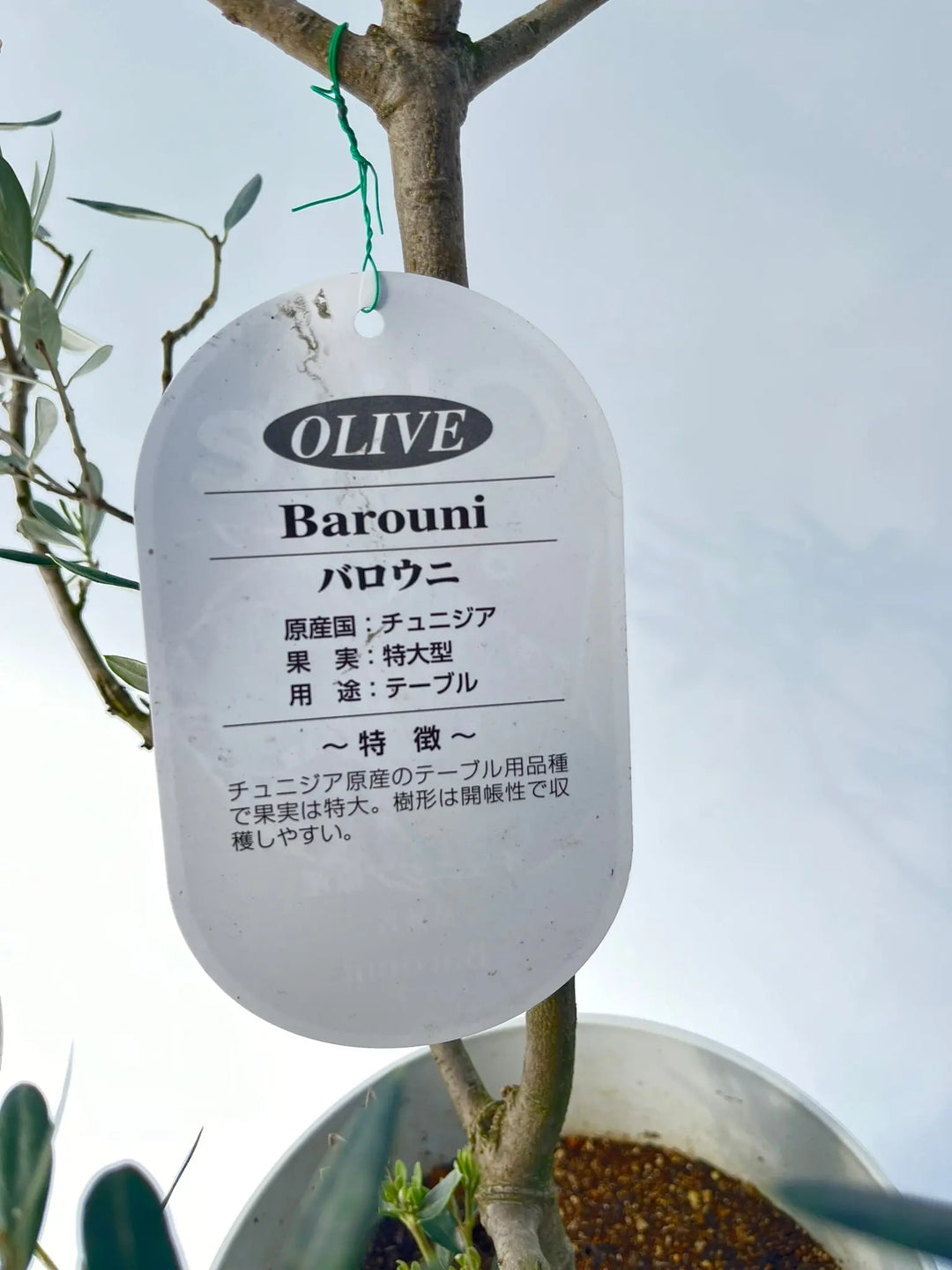 7077f294aa12fe1670863005e0bd01