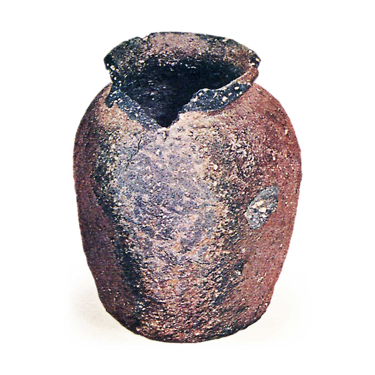 古信楽 こしがらき | 鶴田 純久の章 お話