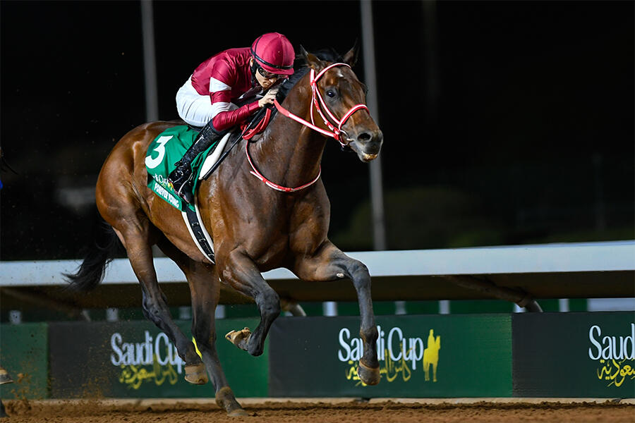 有馬記念】クロノジェネシスが3.6倍で1番人気！フィエールマン