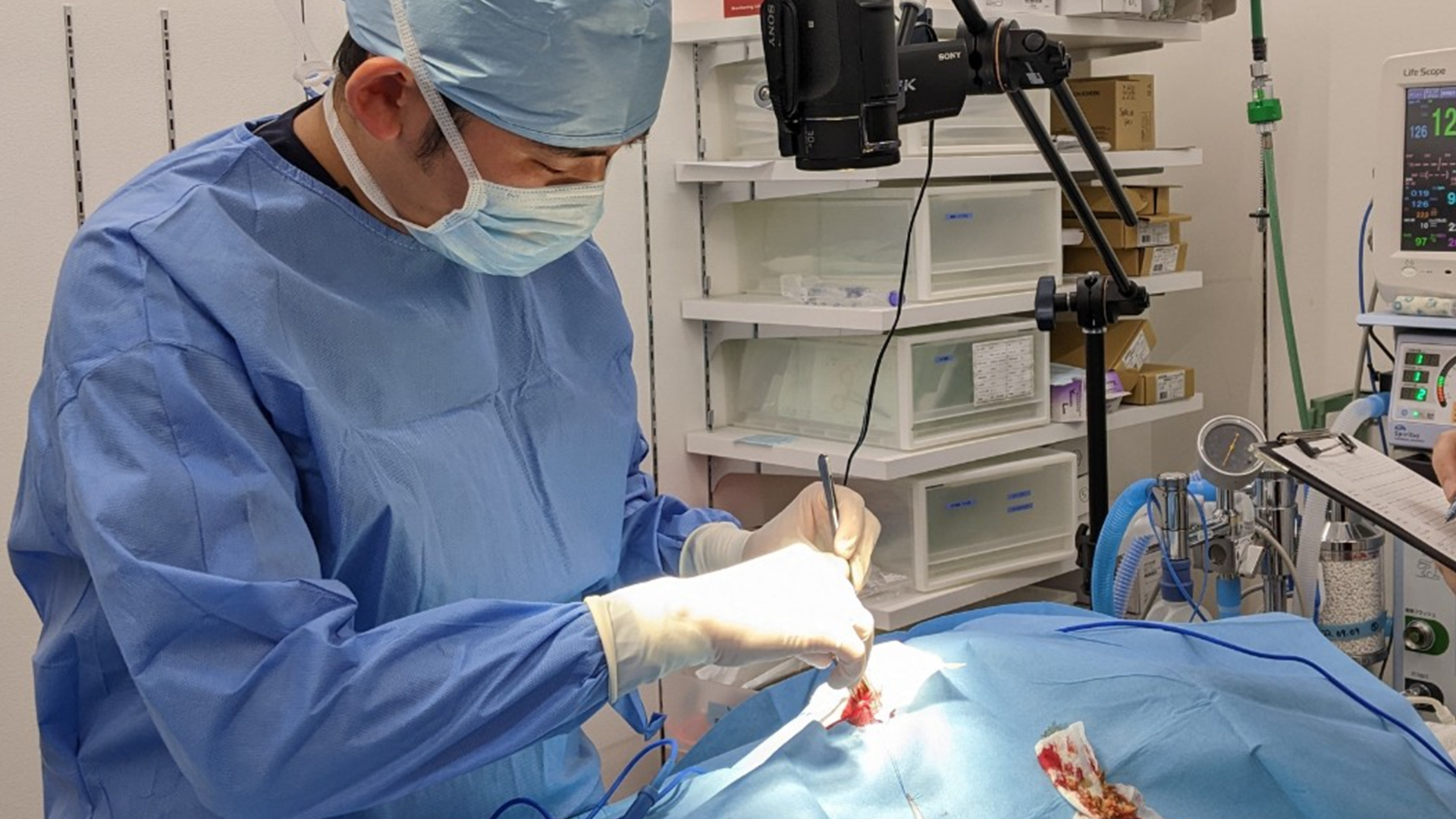助手なんていないよ！〜一人で行う手術での注意点〜 – Life&TailTV