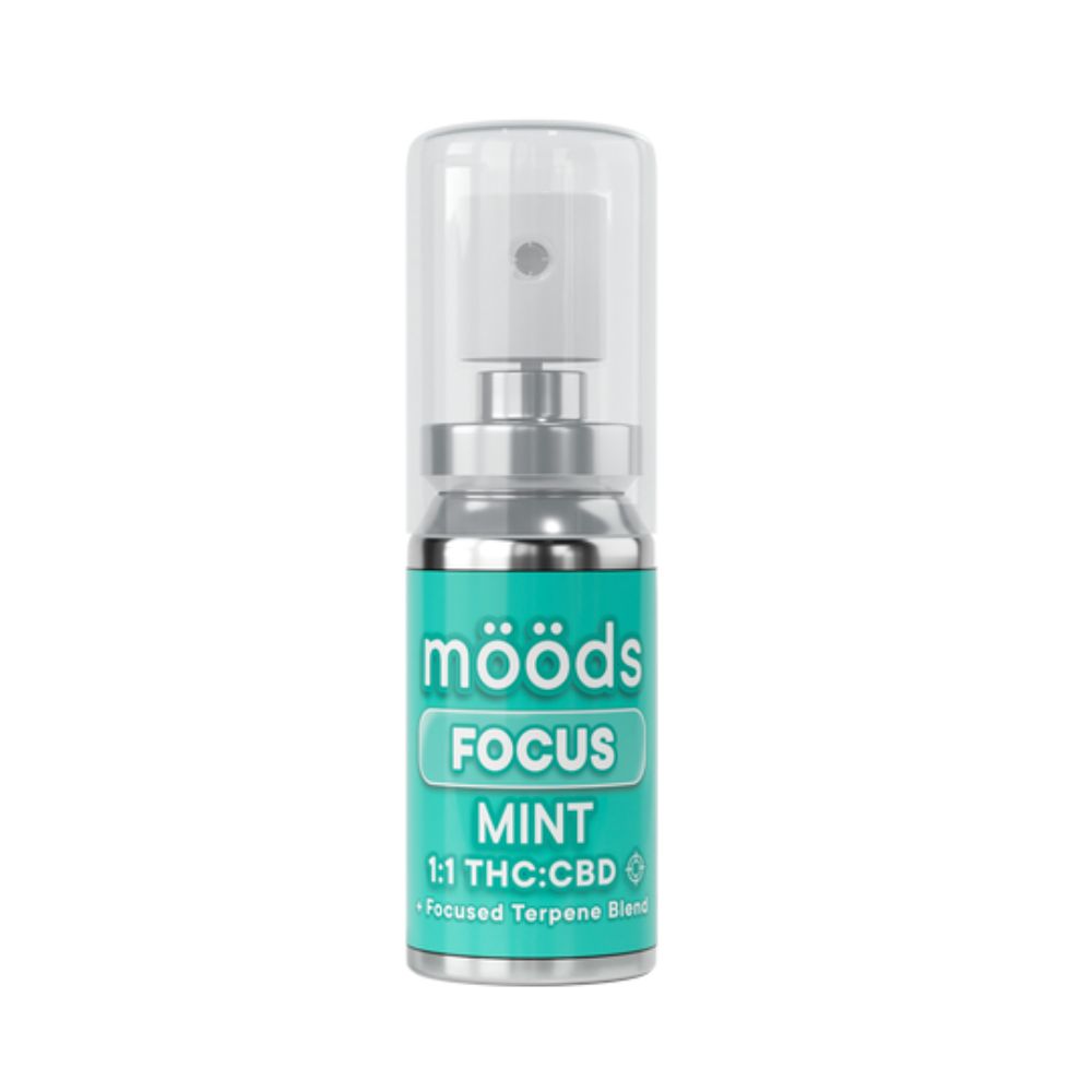 FOCUS MINT SPRAY TINCTURE 500MG - MOODS - Santa Ana's Bes