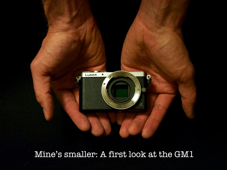 Lumix GM1, mine's smaller. A quick look at the smallest MILC