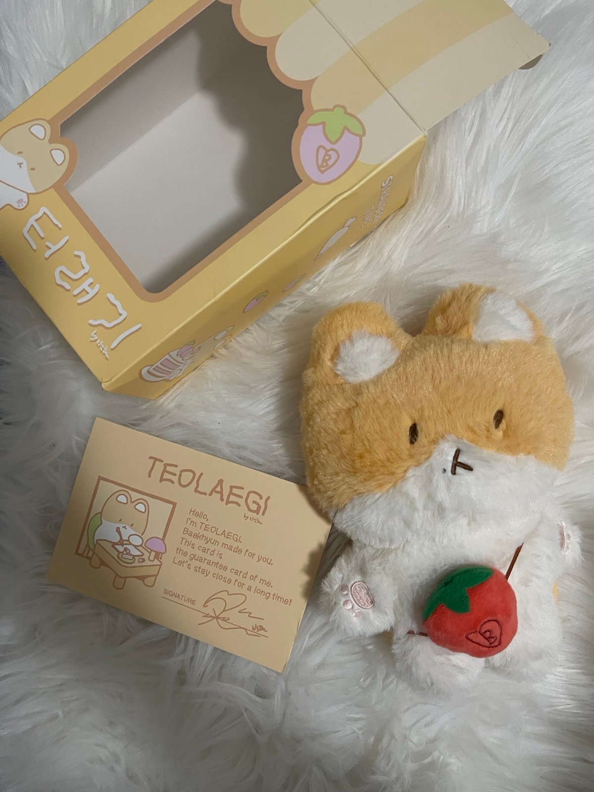 Baekhyun official teolaegi 20cm plush with AR | Mercari