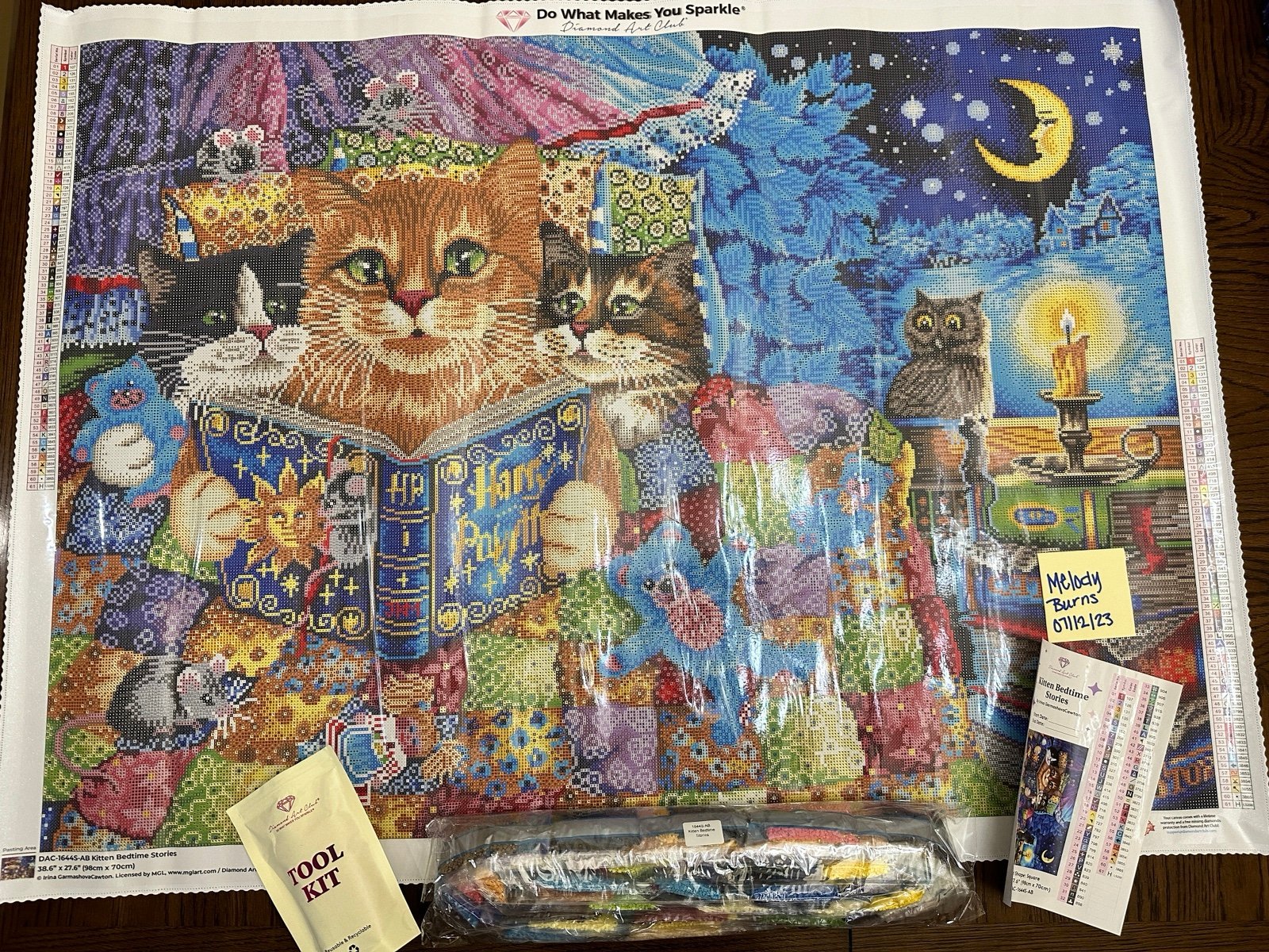 Kitten Bedtime Stories Diamond Art Club | Mercari