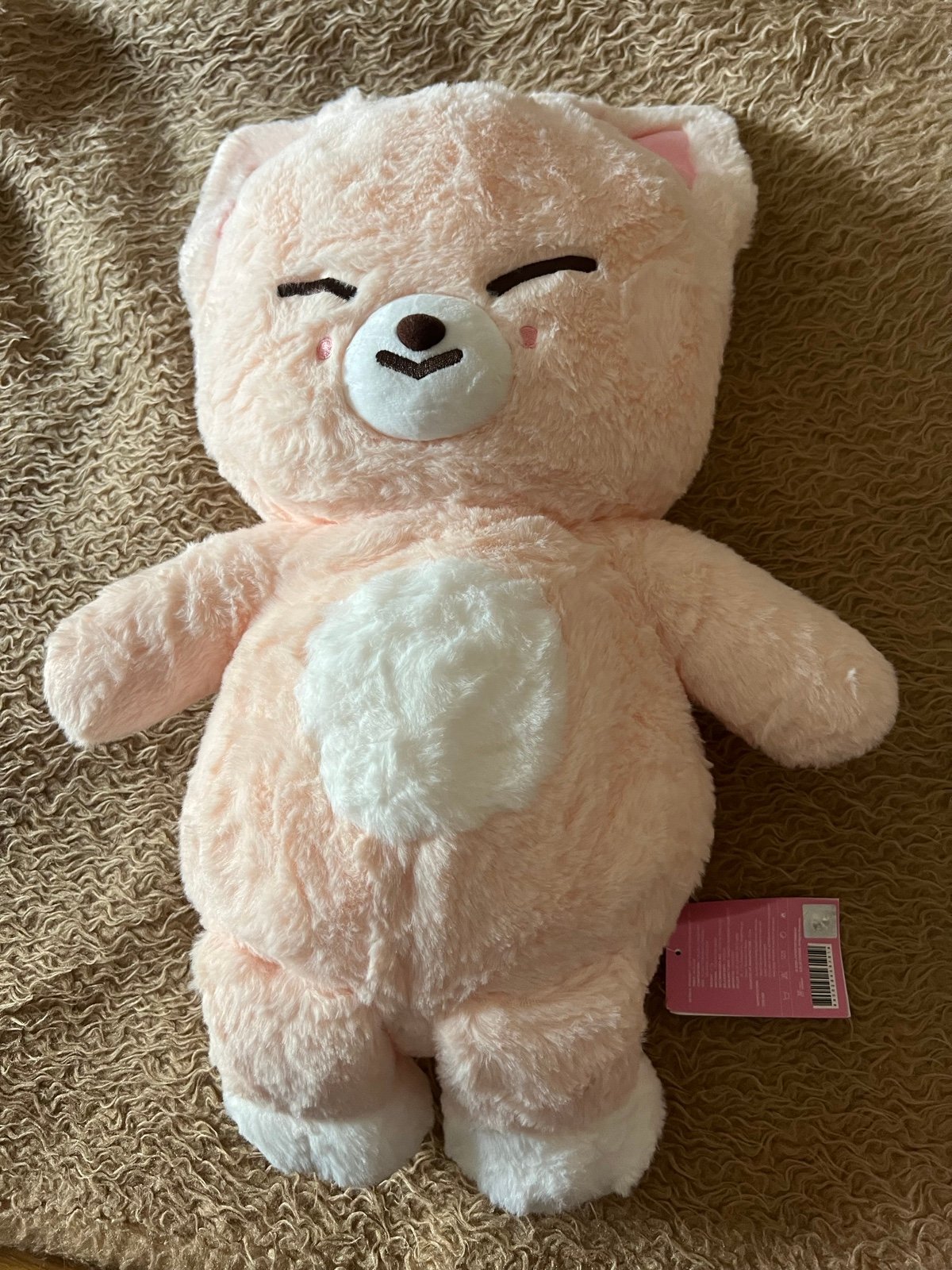 Stray Kids SKZOO 5 O' Clock plush I.N Jeongin | Mercari
