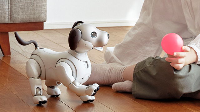 レンタル] ソニー エンタテインメントロボット aibo アイボリー
