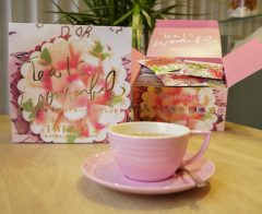 TWENTEINDIVI3（トゥエンテインディヴィ）｜INDIVI｜取扱商品｜最高級