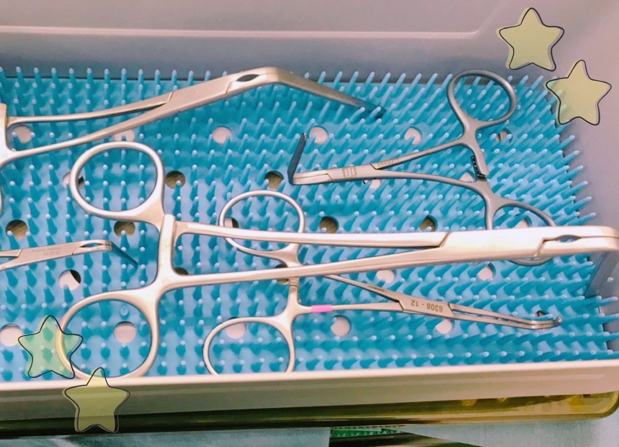 犬の僧帽弁閉鎖不全症に対する外科治療（心臓外科） ｜ 上野の動物病院