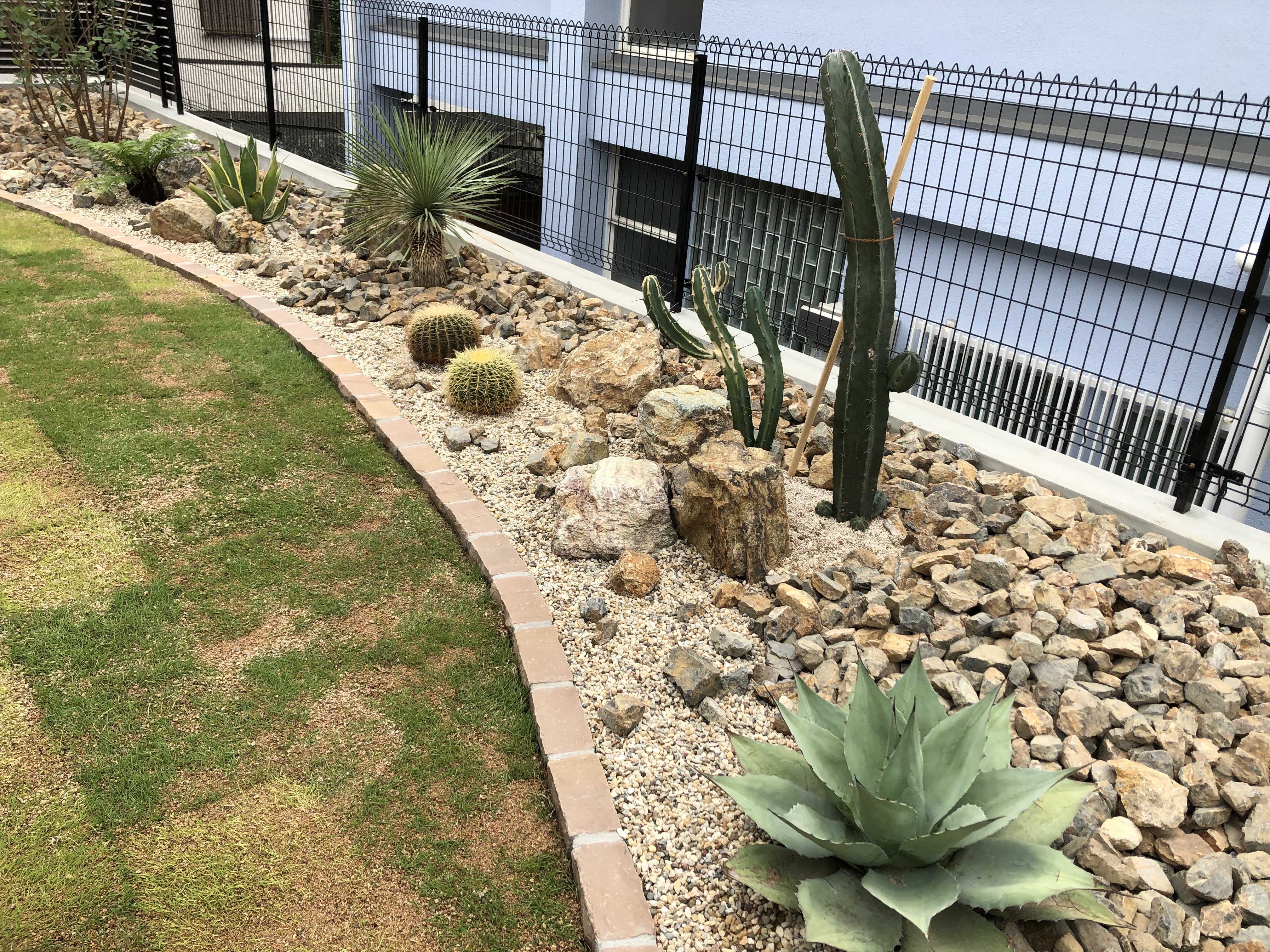 王道ドライガーデン Y様邸/神戸市 | uekyu garden design