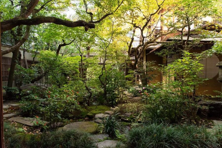 育成管理 | 植彌加藤造園 -京都で、日本庭園をはぐくむ-