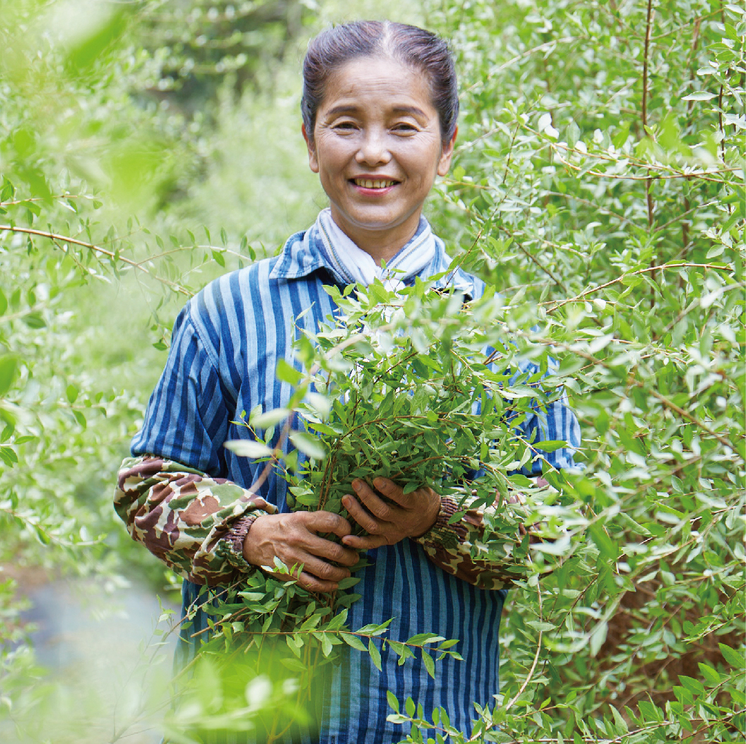 uka Queen of Ishigaki henna Hazelnut vanilla（一番） | 【公式