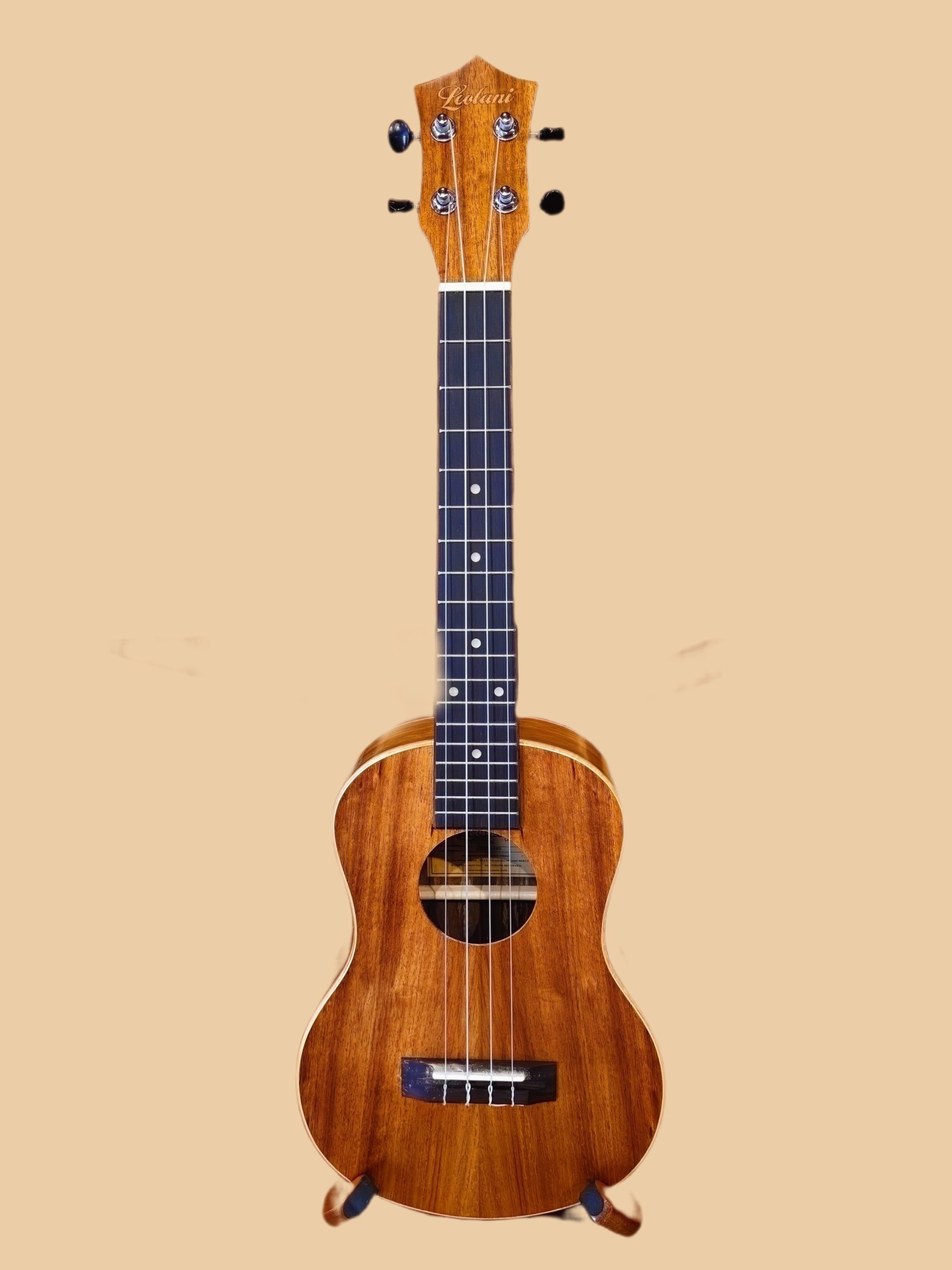 Ukuleles : Ukulele House Waikiki : ハワイのウクレレ専門店