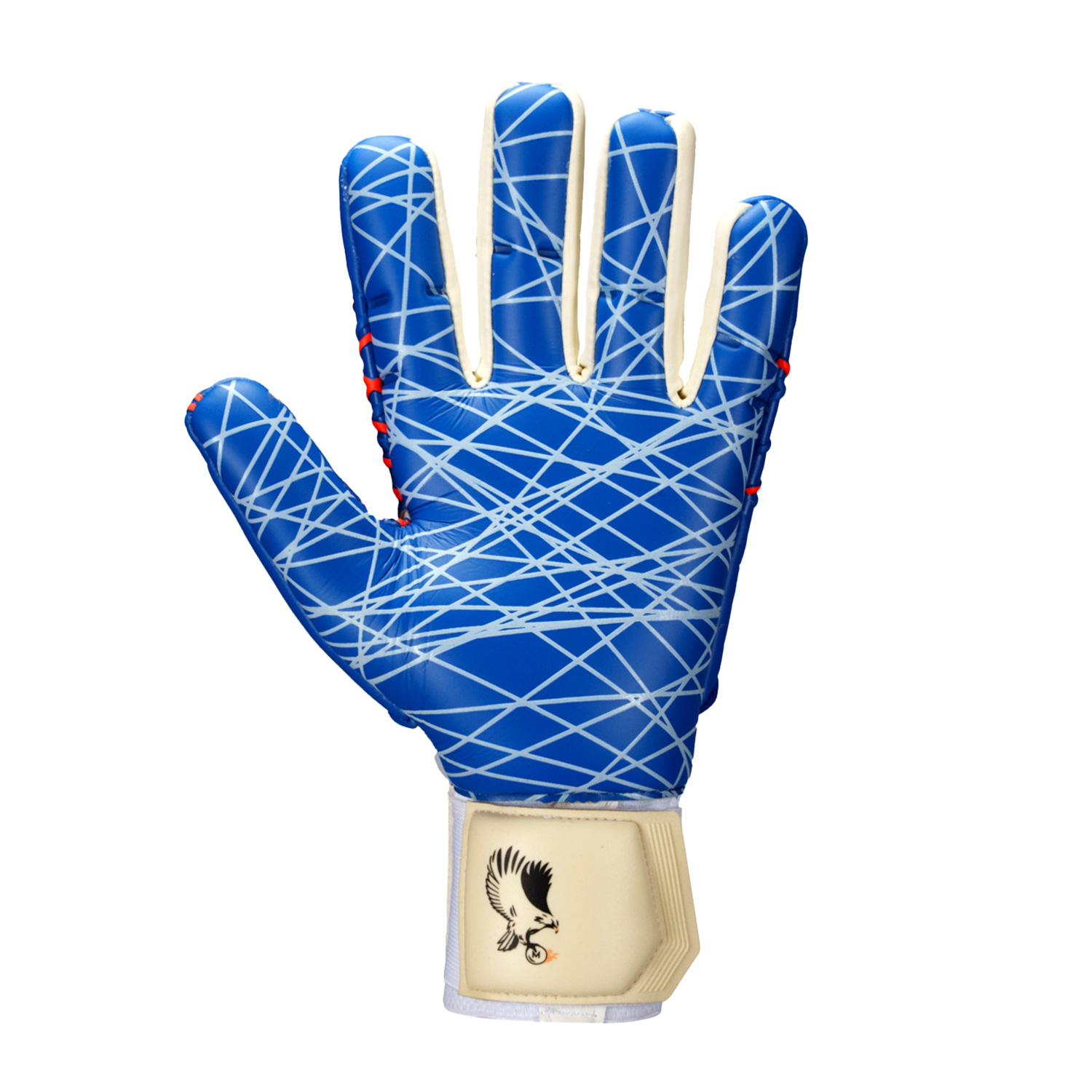 プレディクション ウルトラグリップ ハーフネガティブ メニャン