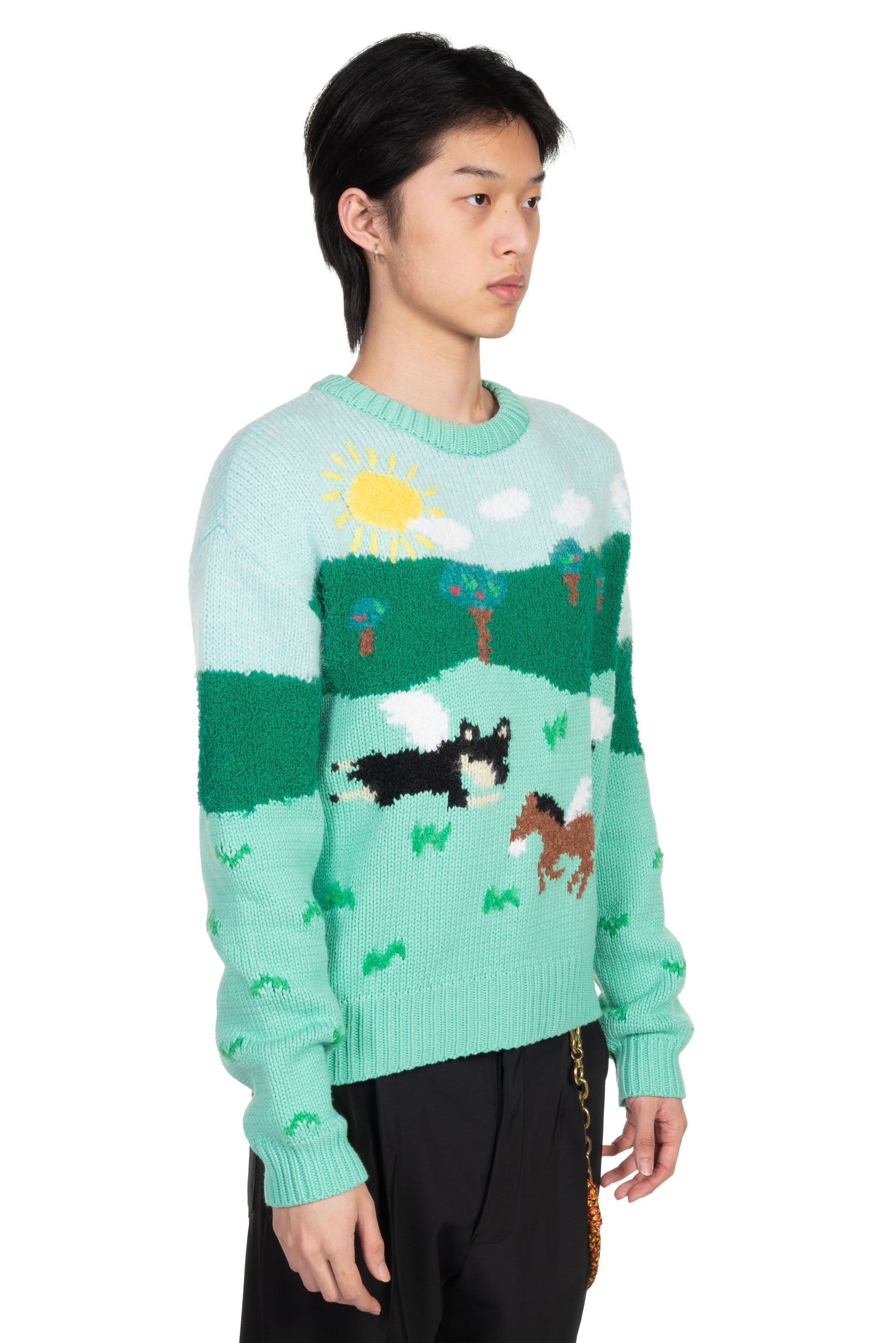Andersson Bell Summer Garden Intarsia Sweater | UJNG